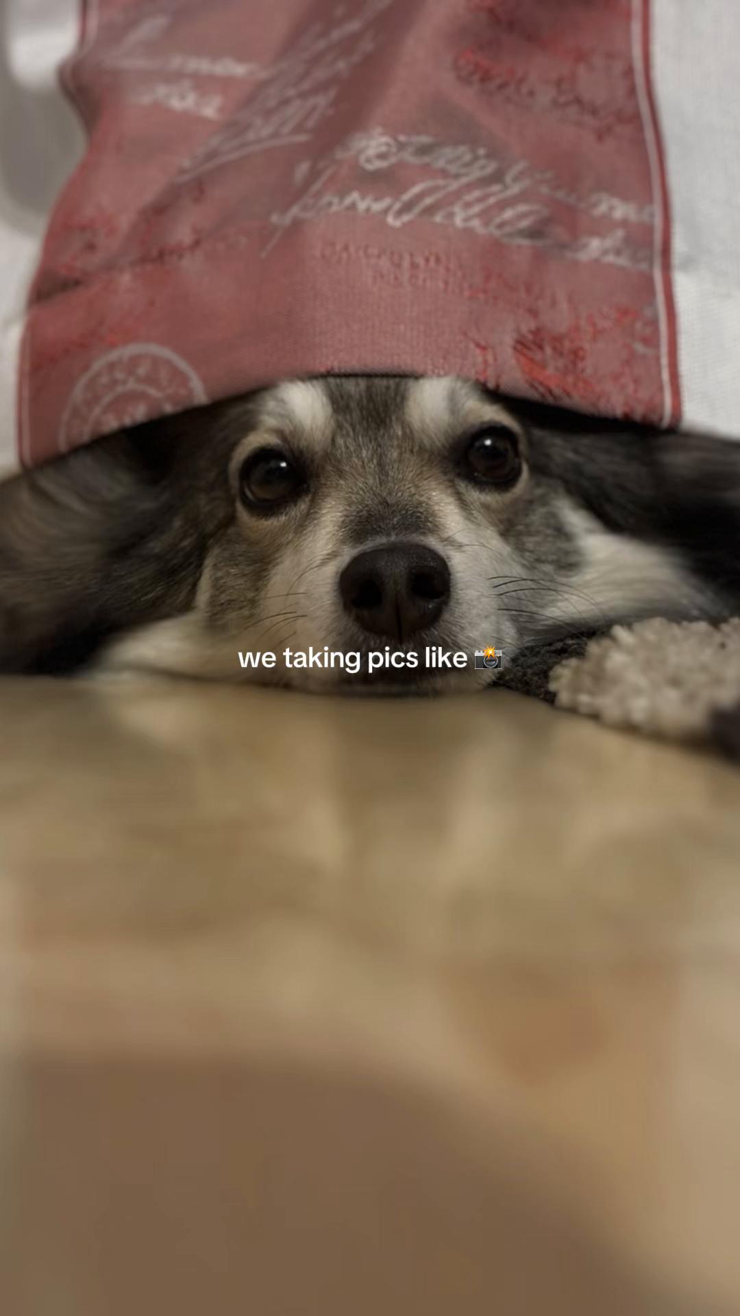 @LilSunny85
