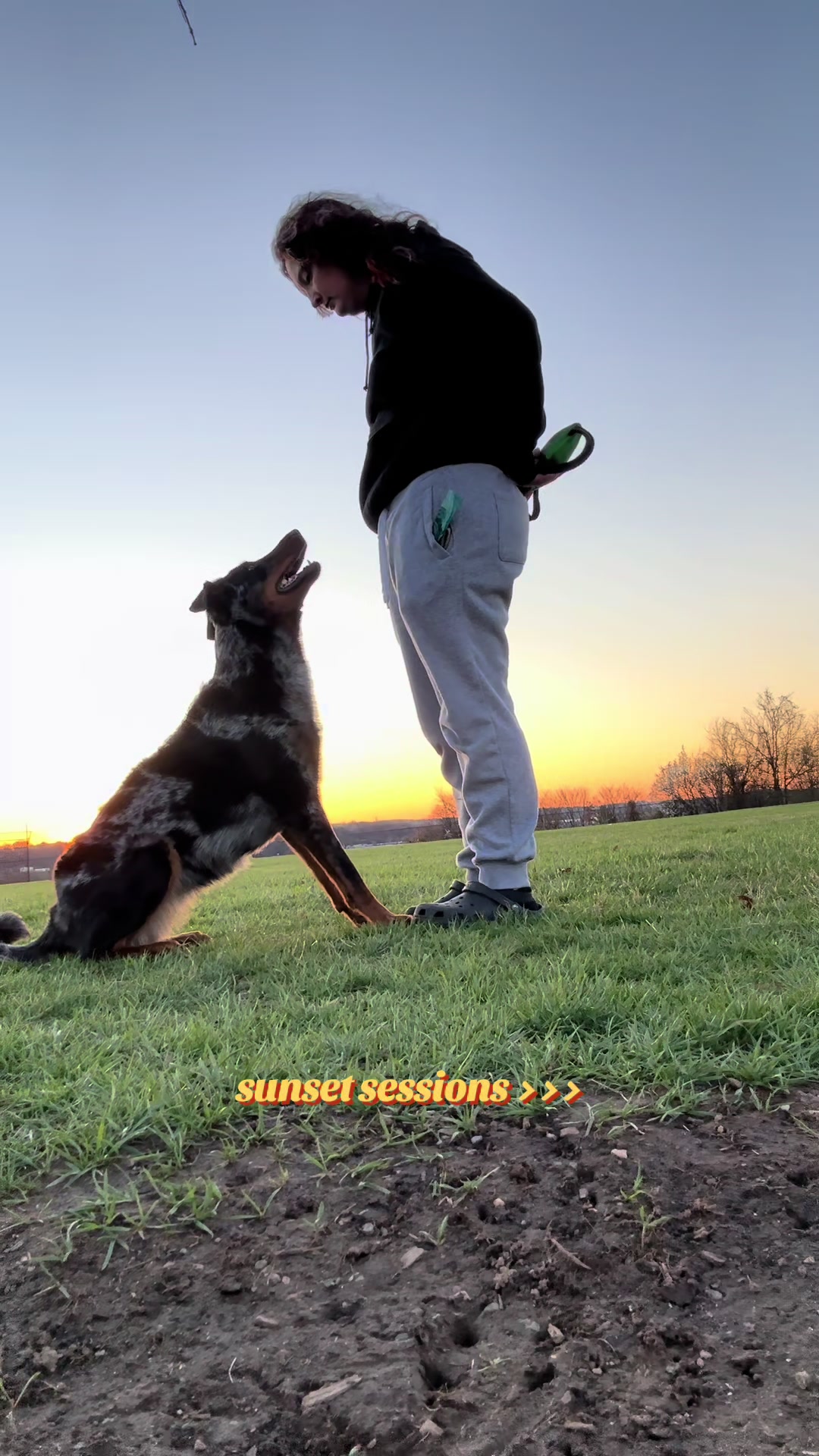 @valkyrie.the.beauceron