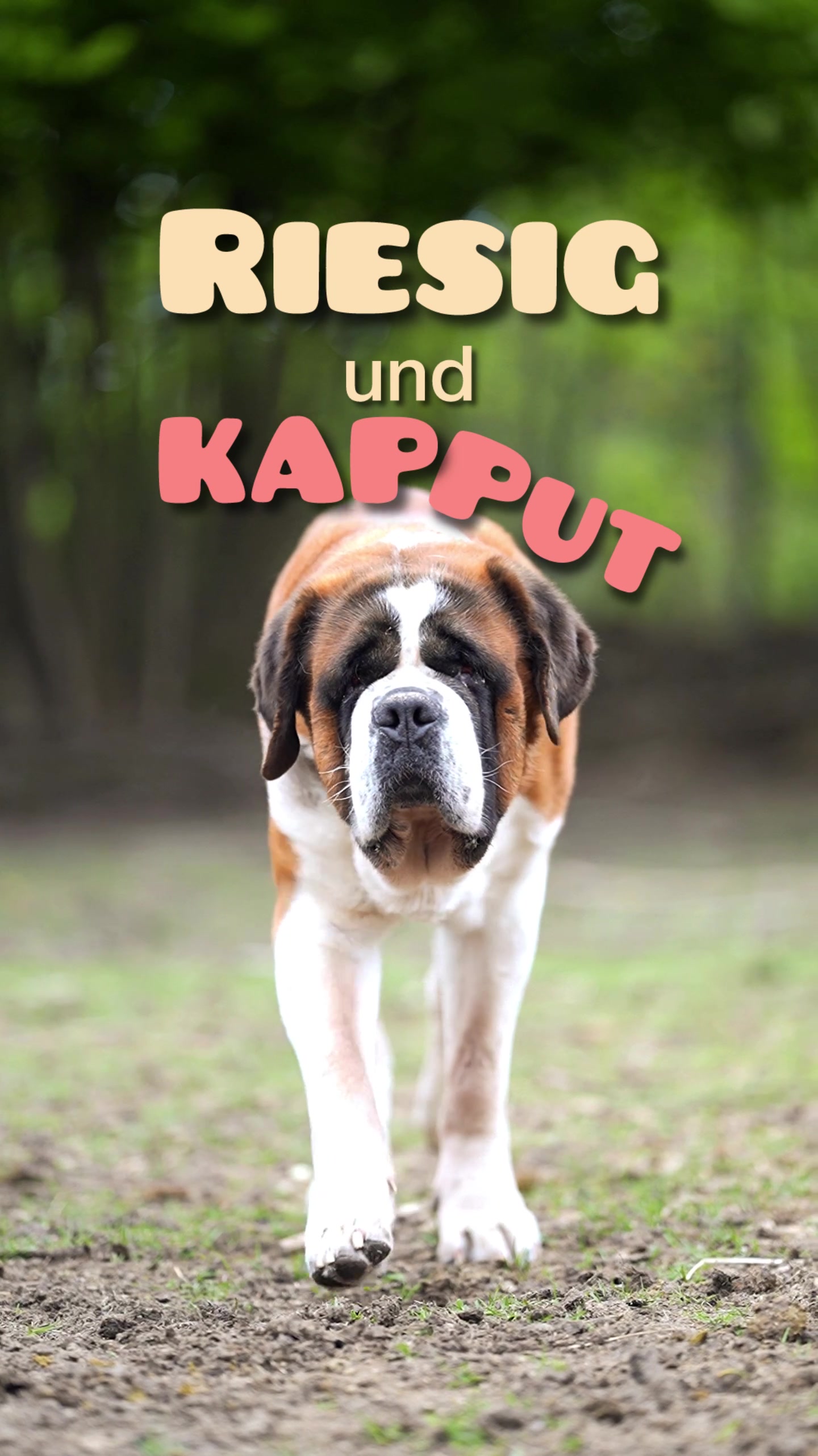 @Kathi