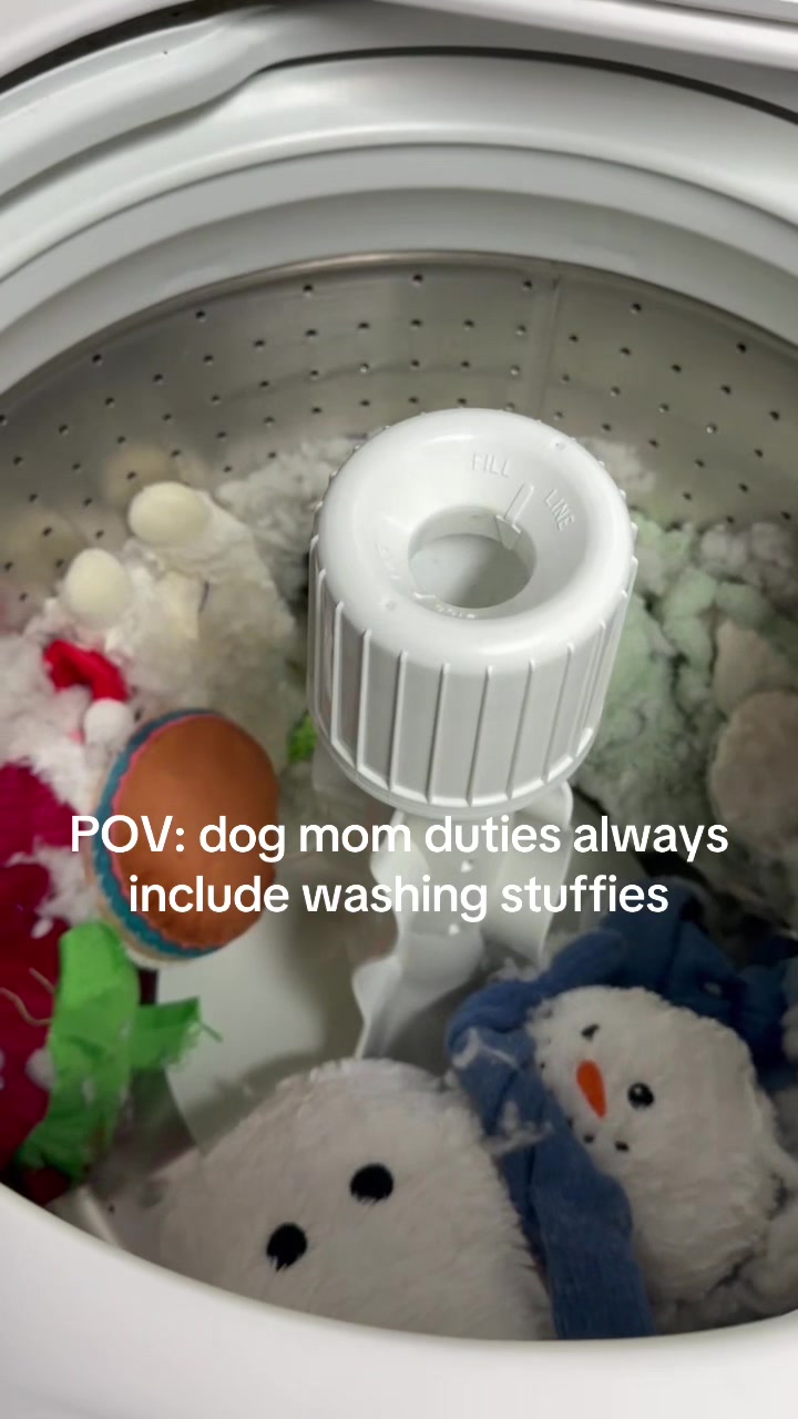 @DogMomisms