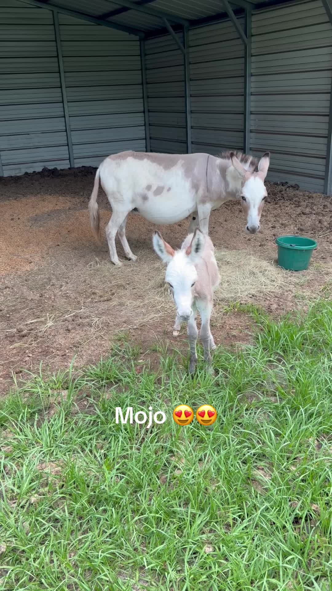 @Kelley Farms