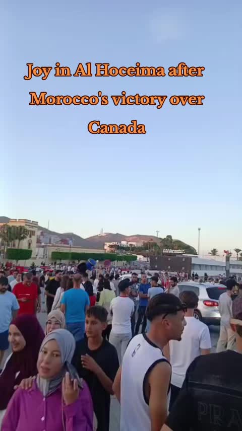 @حميد نشاط