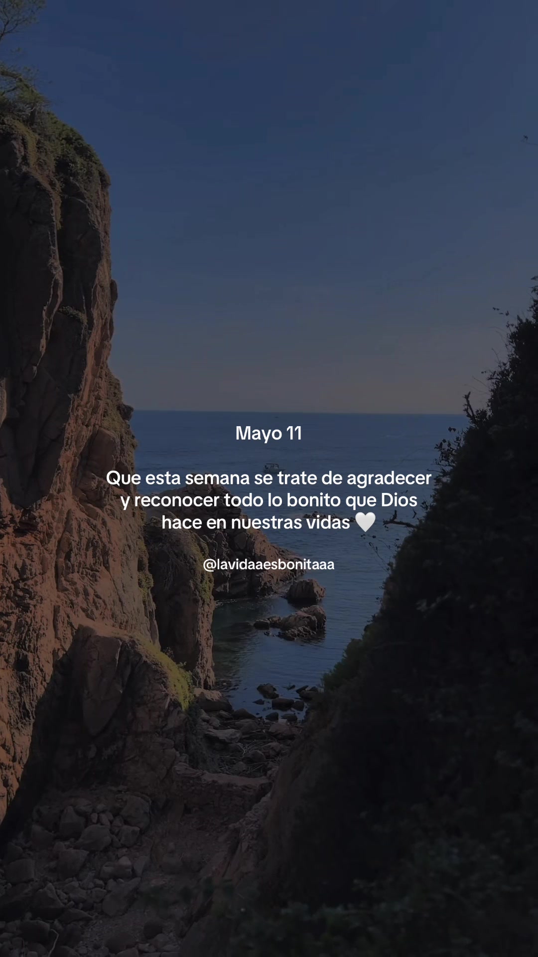 @vidabonita❤️&zwj;🩹