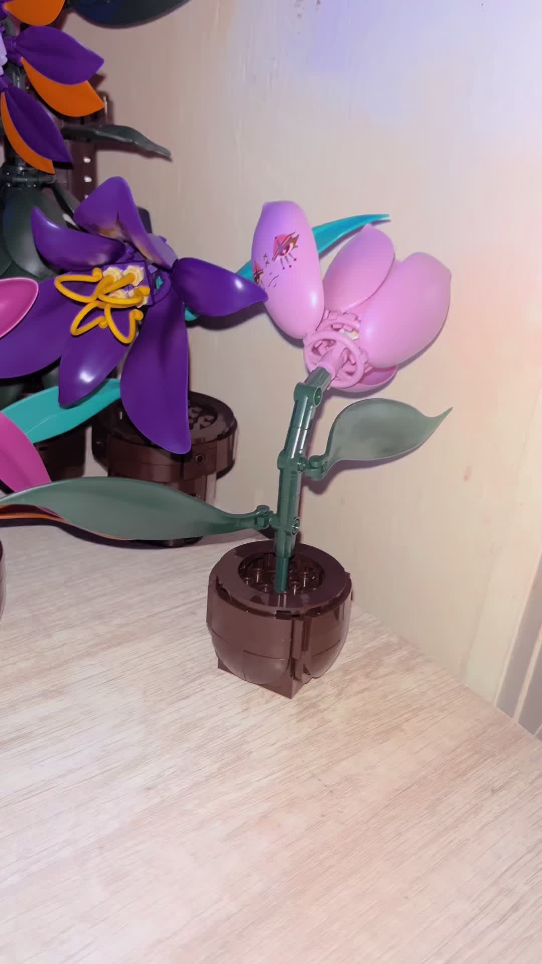 @leyvaroar