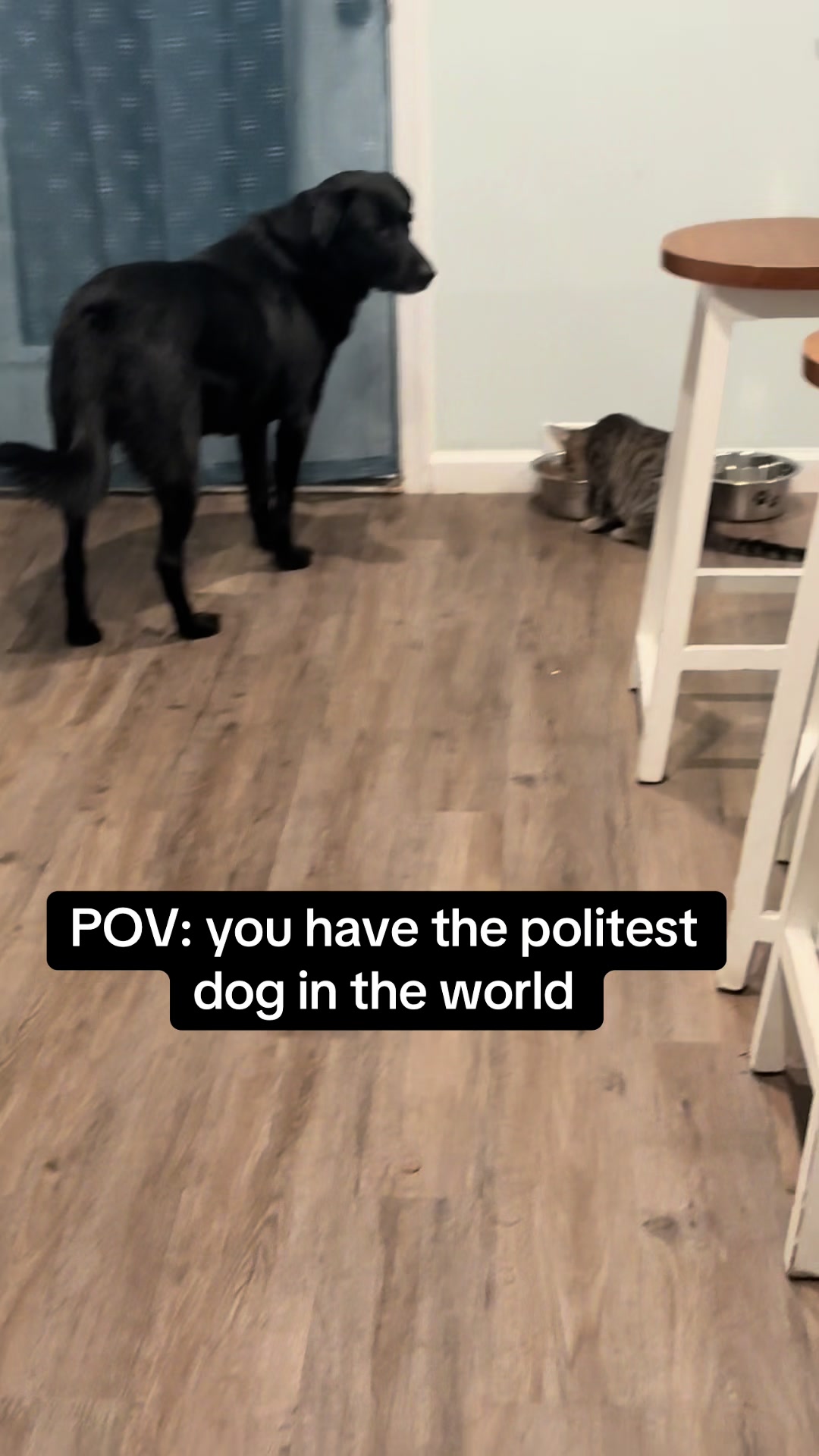 @Meg B