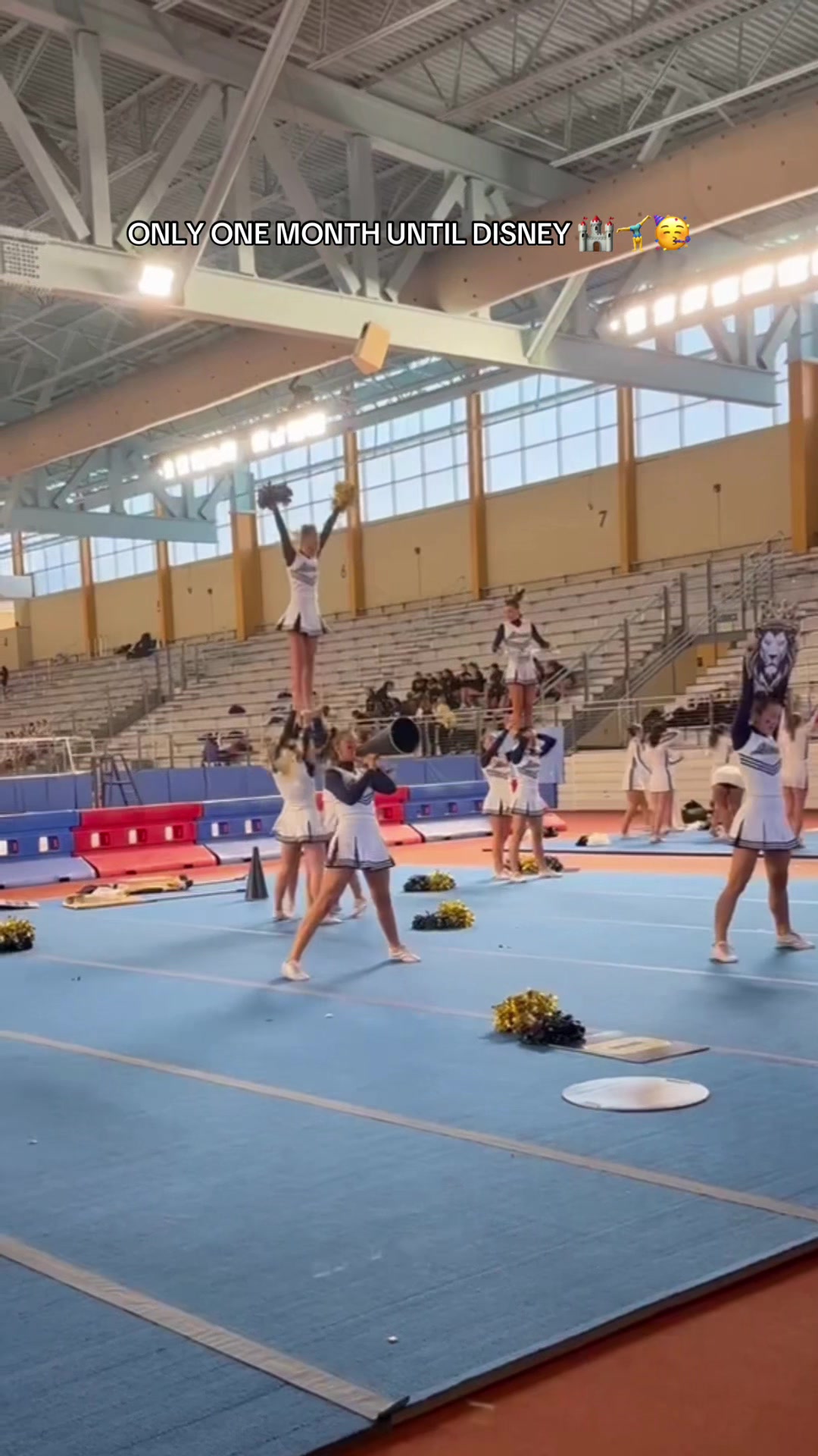 @Lions Cheerleading