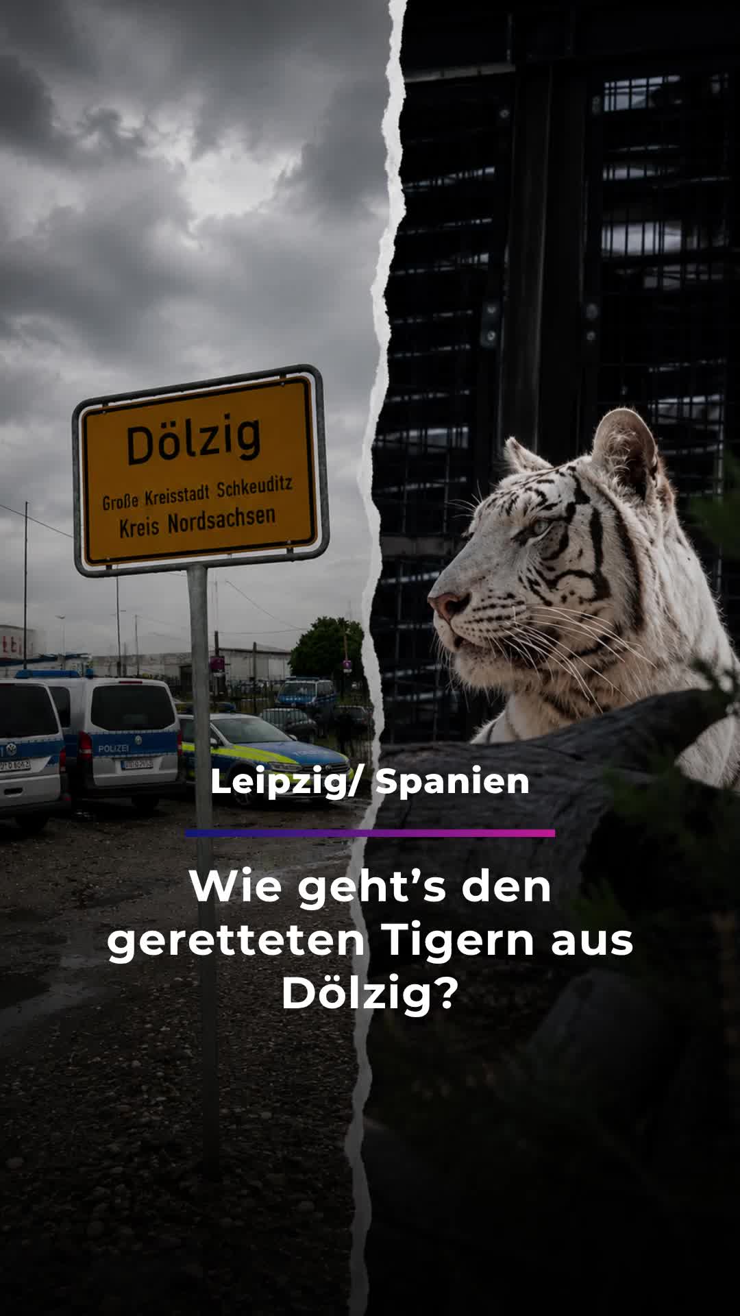 @Sachsen Fernsehen