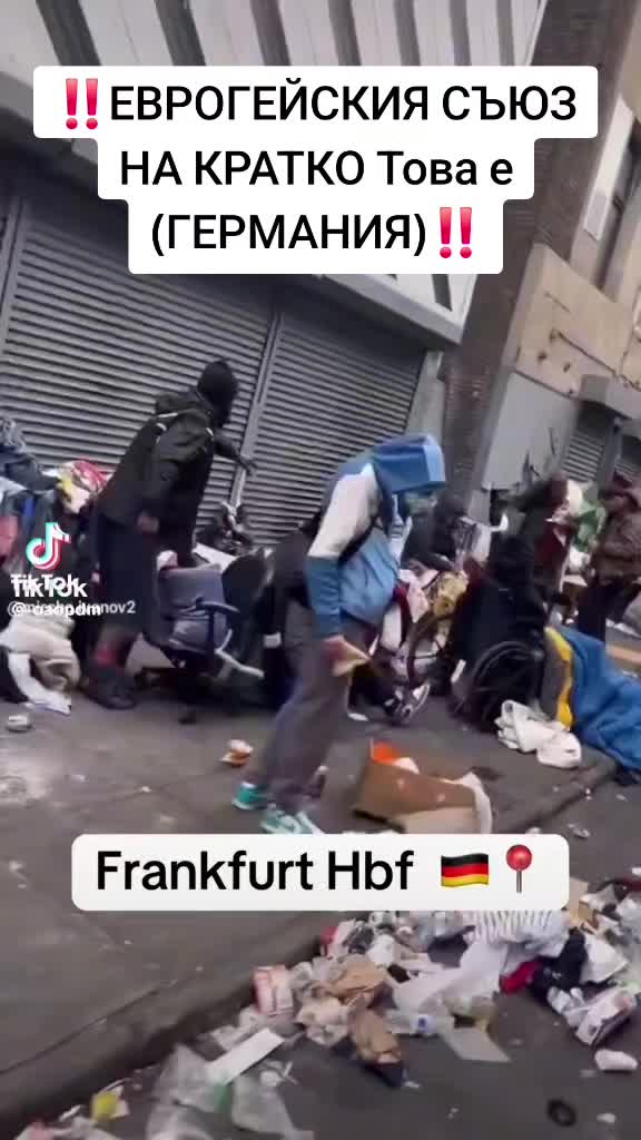 @Steikatas1