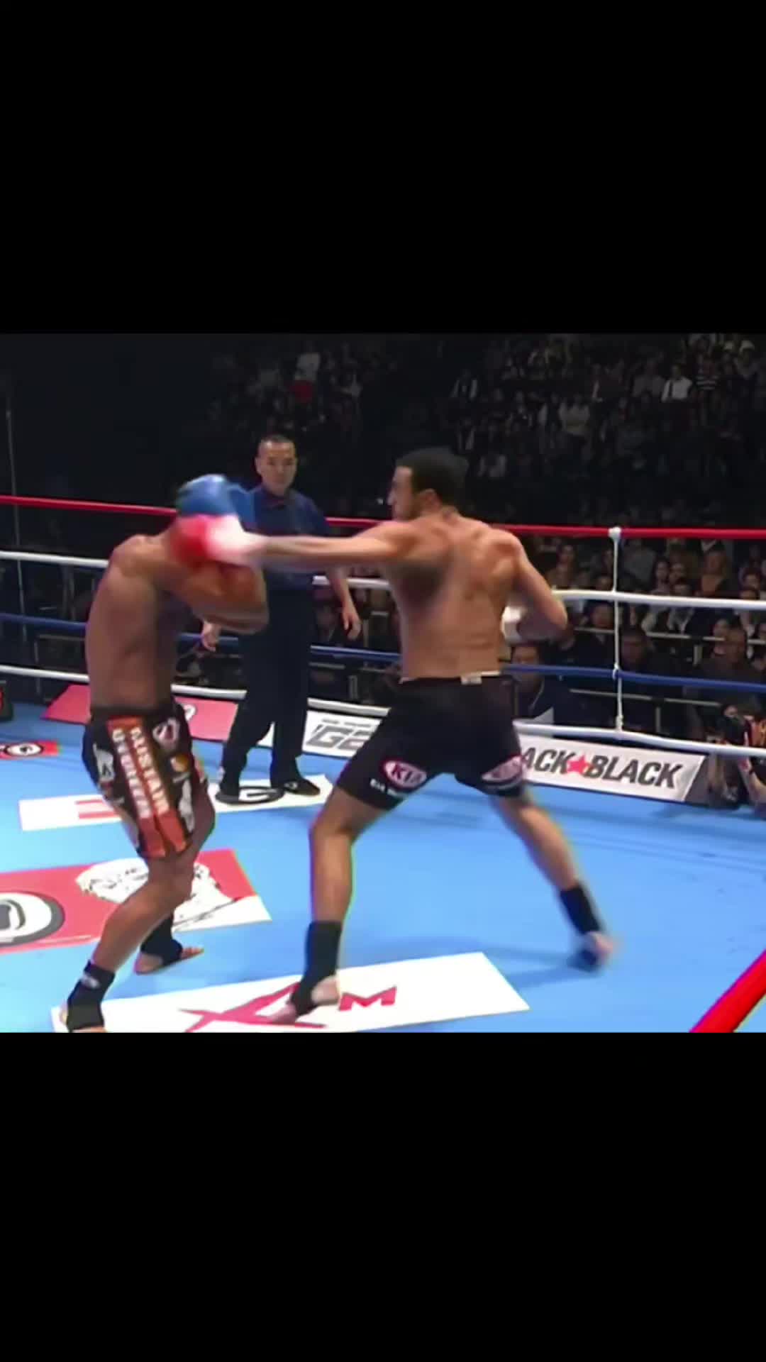 @Fightxgram