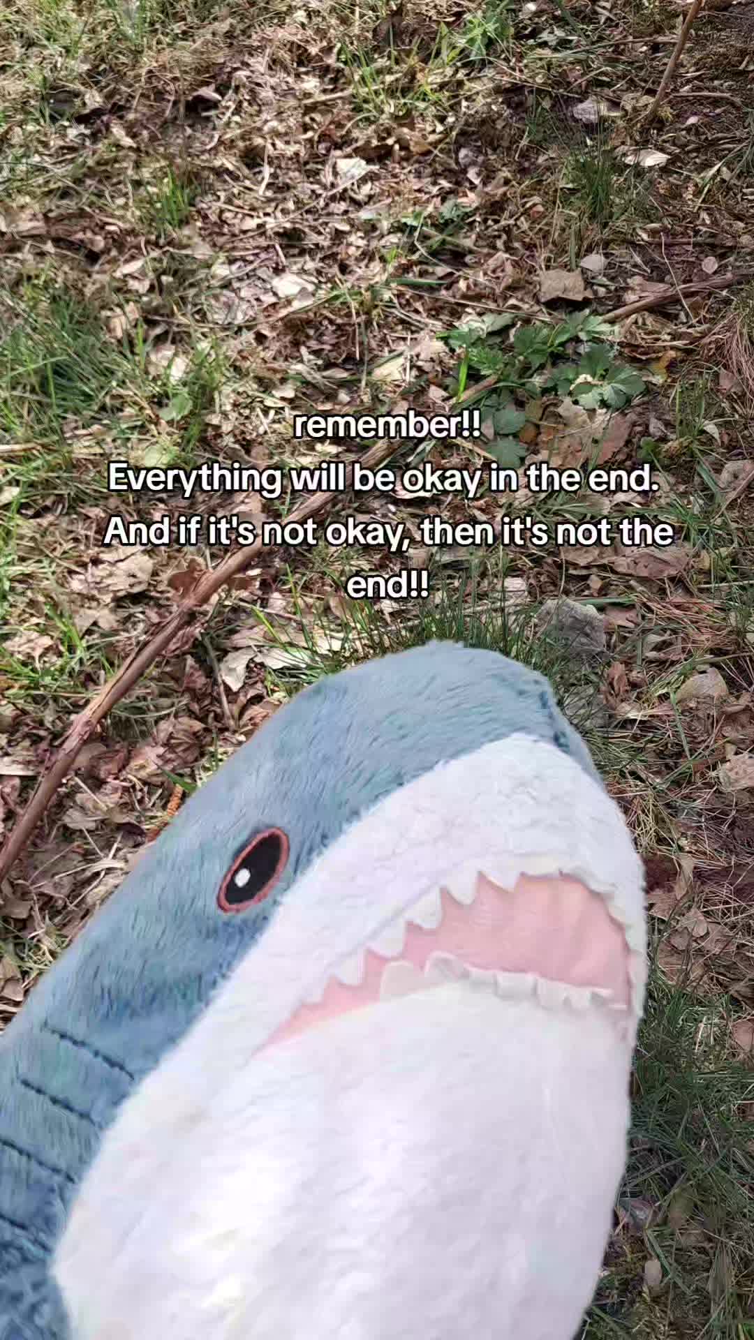@Willie the Shark <3