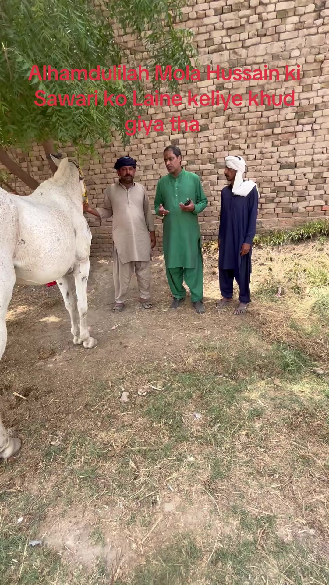 @Bawa Makdoom Syed Naveed Shah