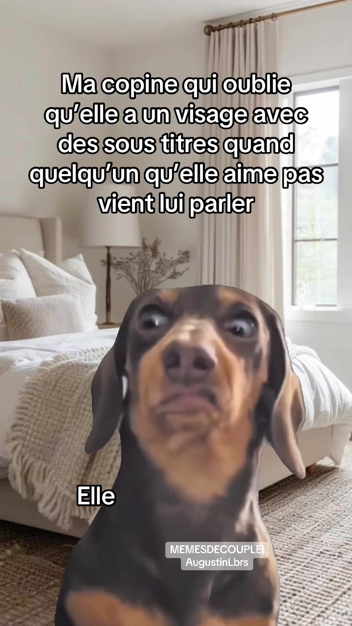 @MEMES DE COUPLE | AugustinLbrs