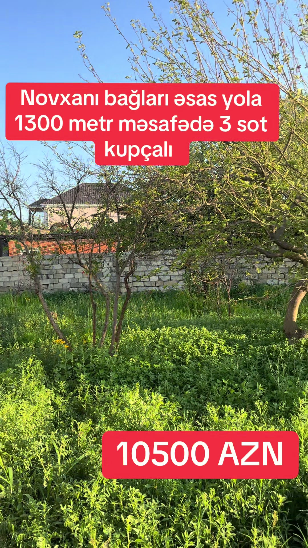 @Novxanı_401_əmlak