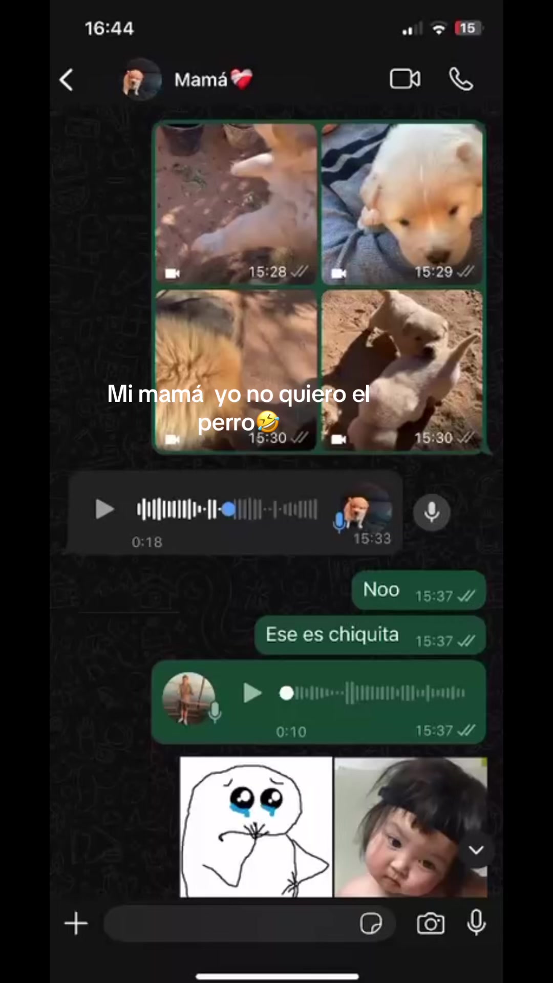 @Aysmar✅