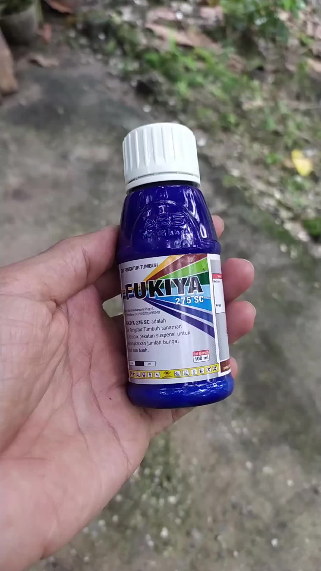 @koliang81