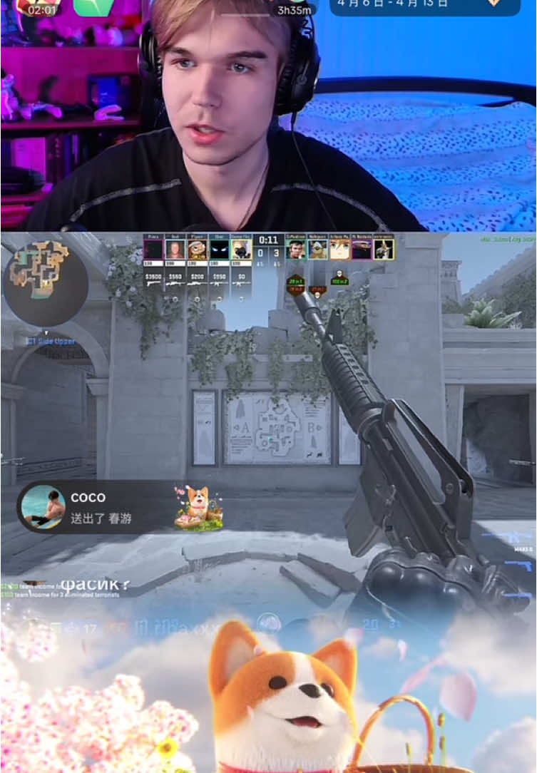 @coco