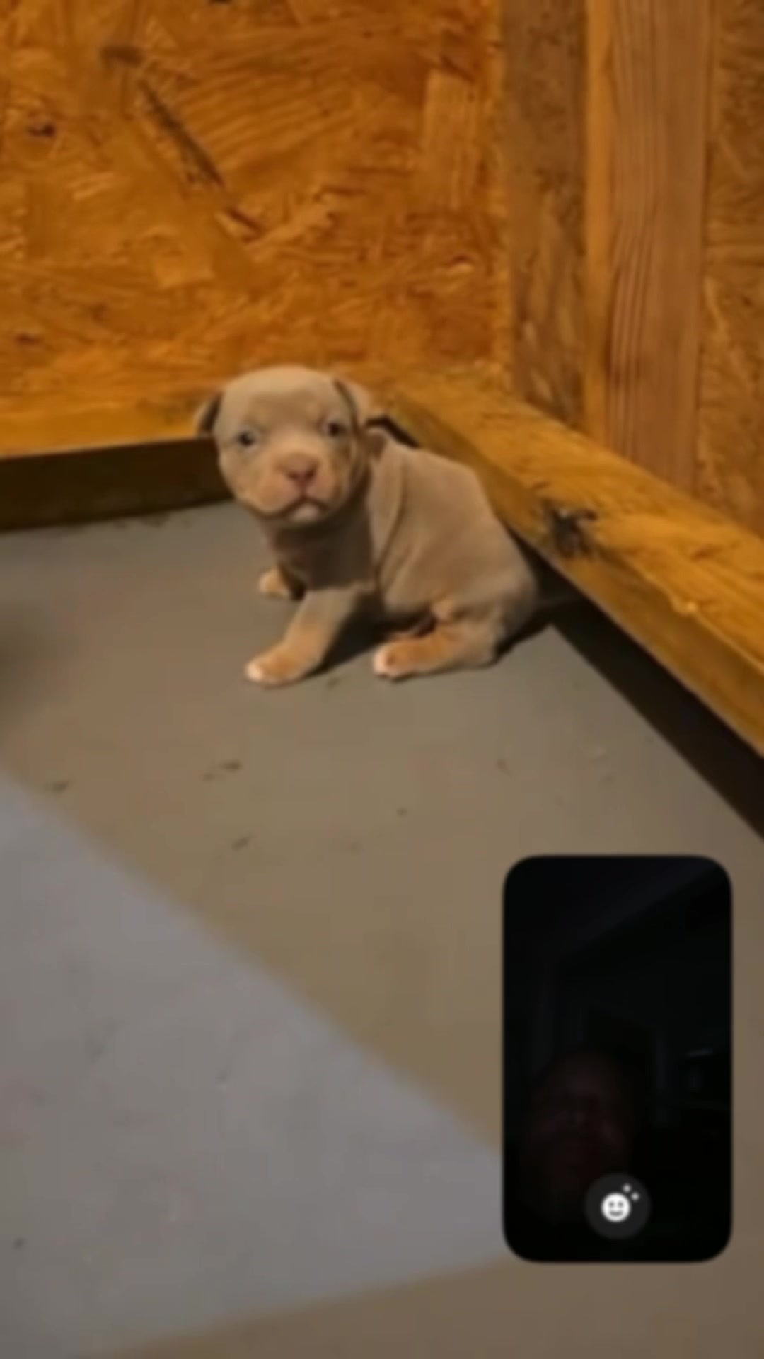 @Carters BullyHub