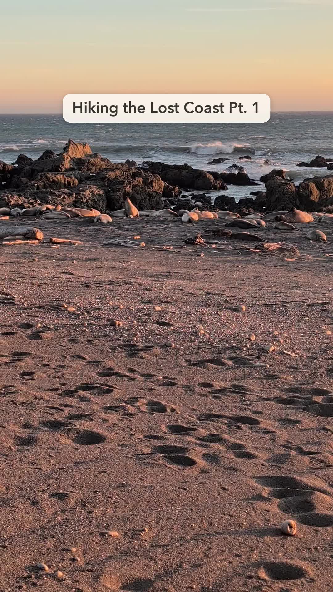 @PureToneTherapy