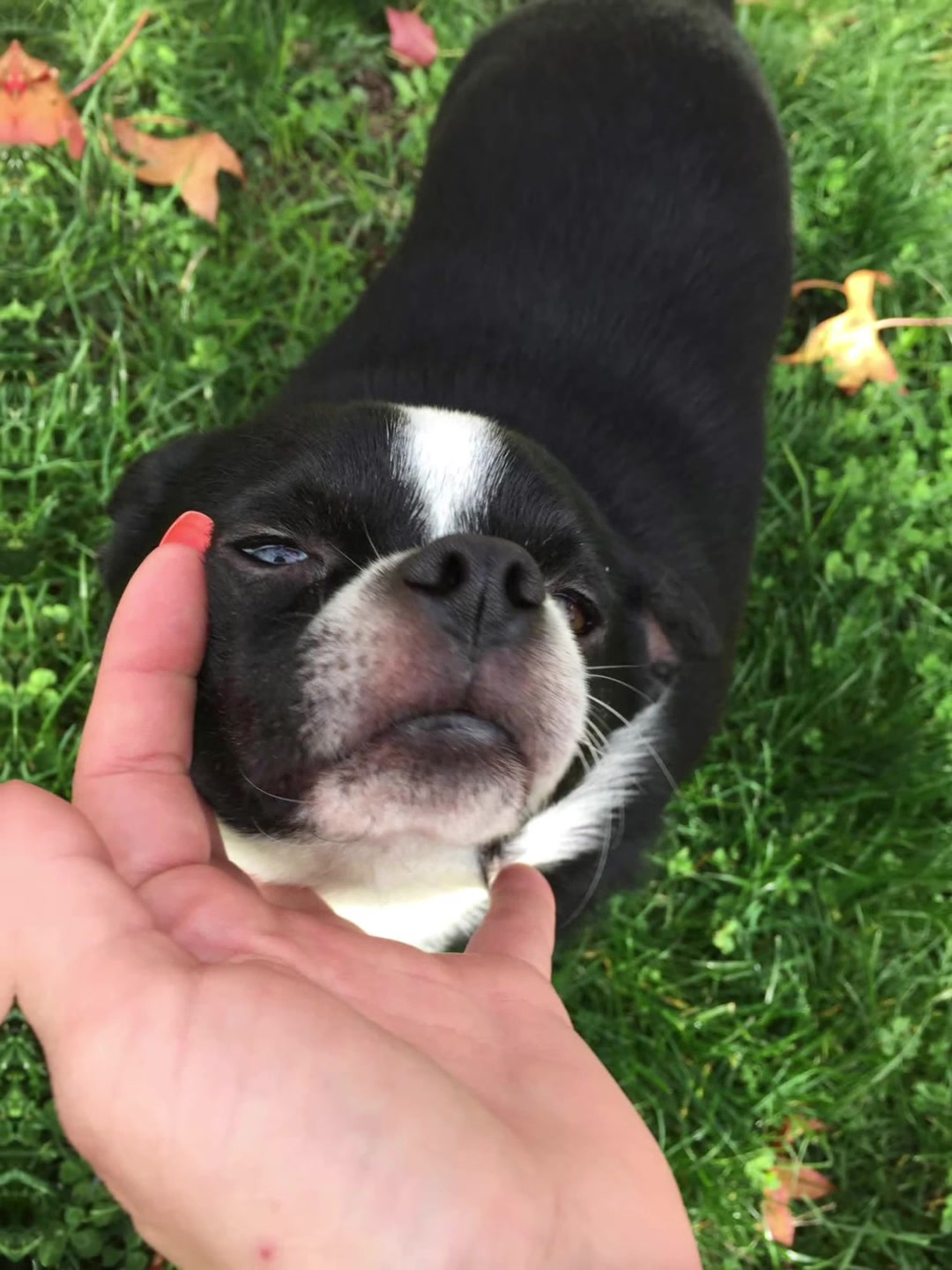 @little_miss_sunshine_pnw