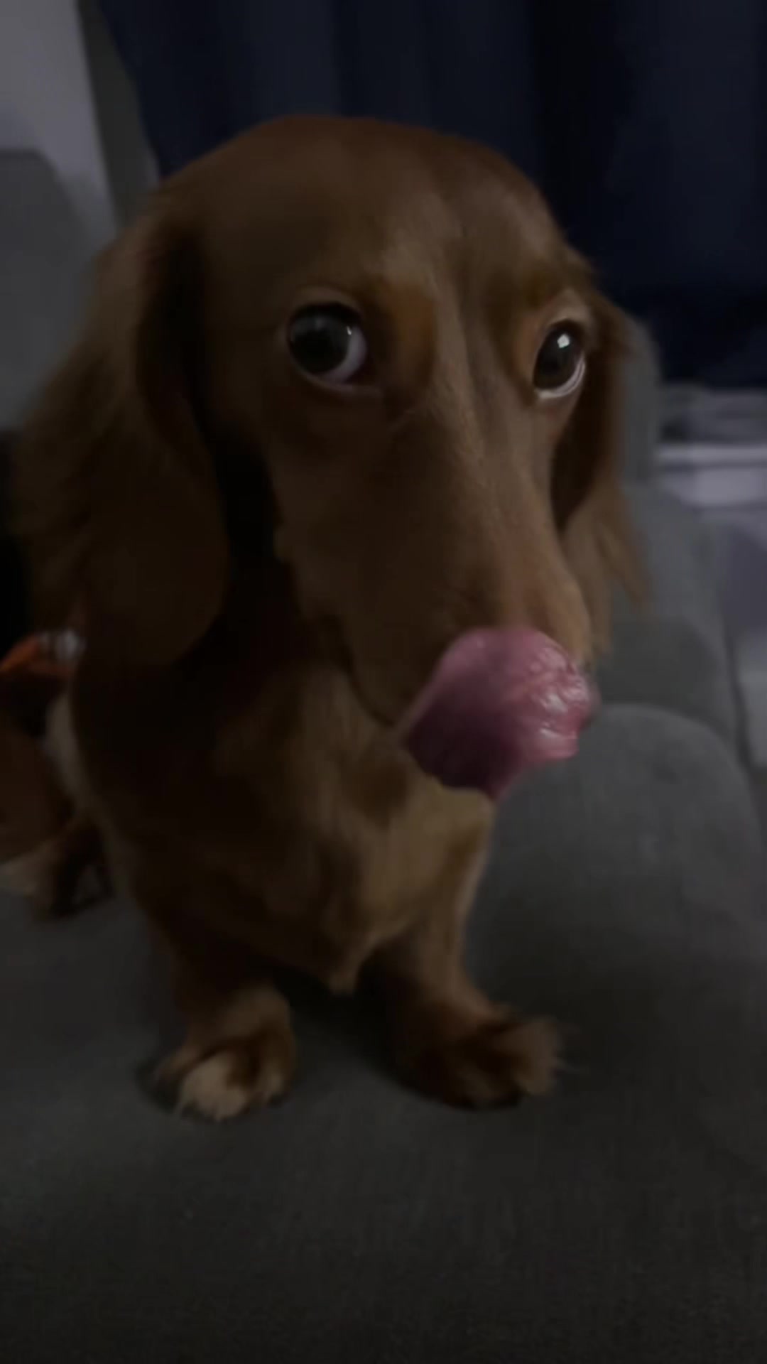 @𝓓𝓪𝓷𝓲𝓮𝓵𝓵𝓮 🤍
