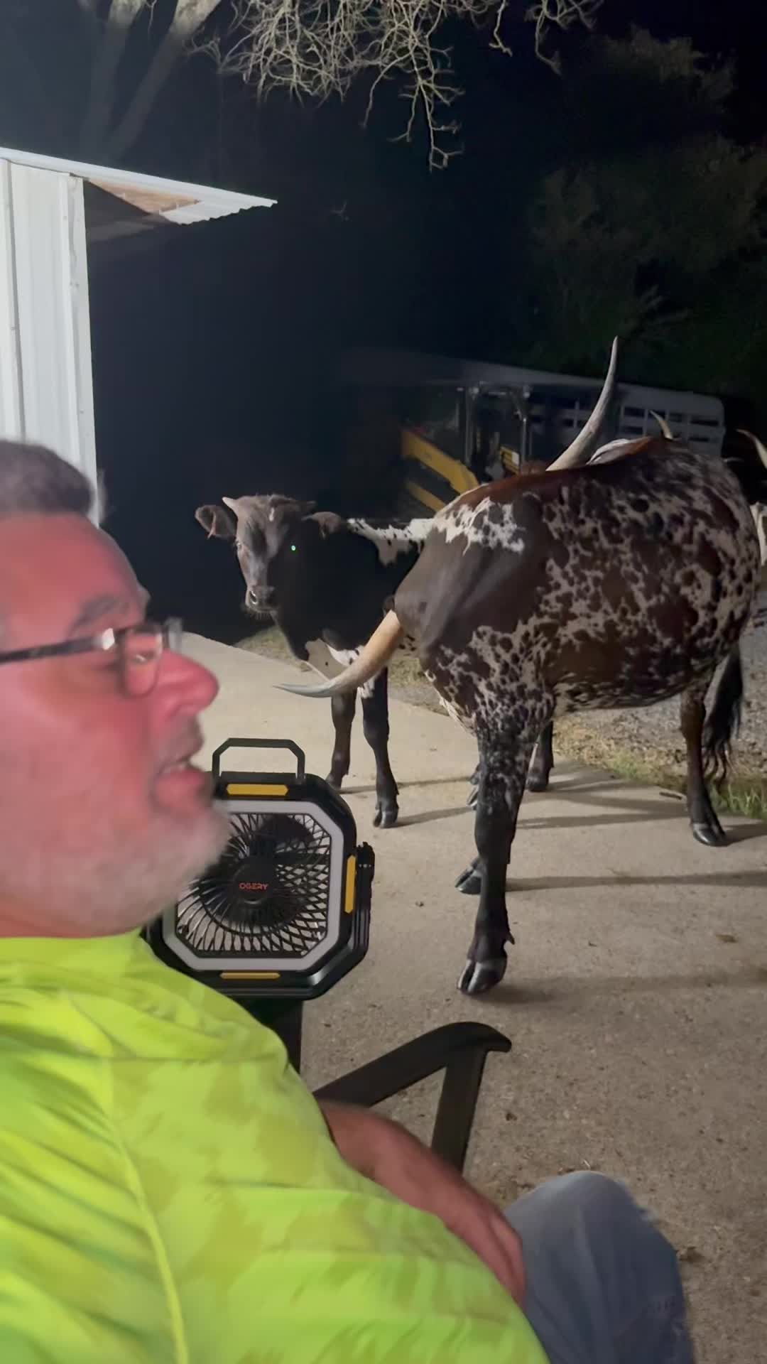 @bar_m_longhorns