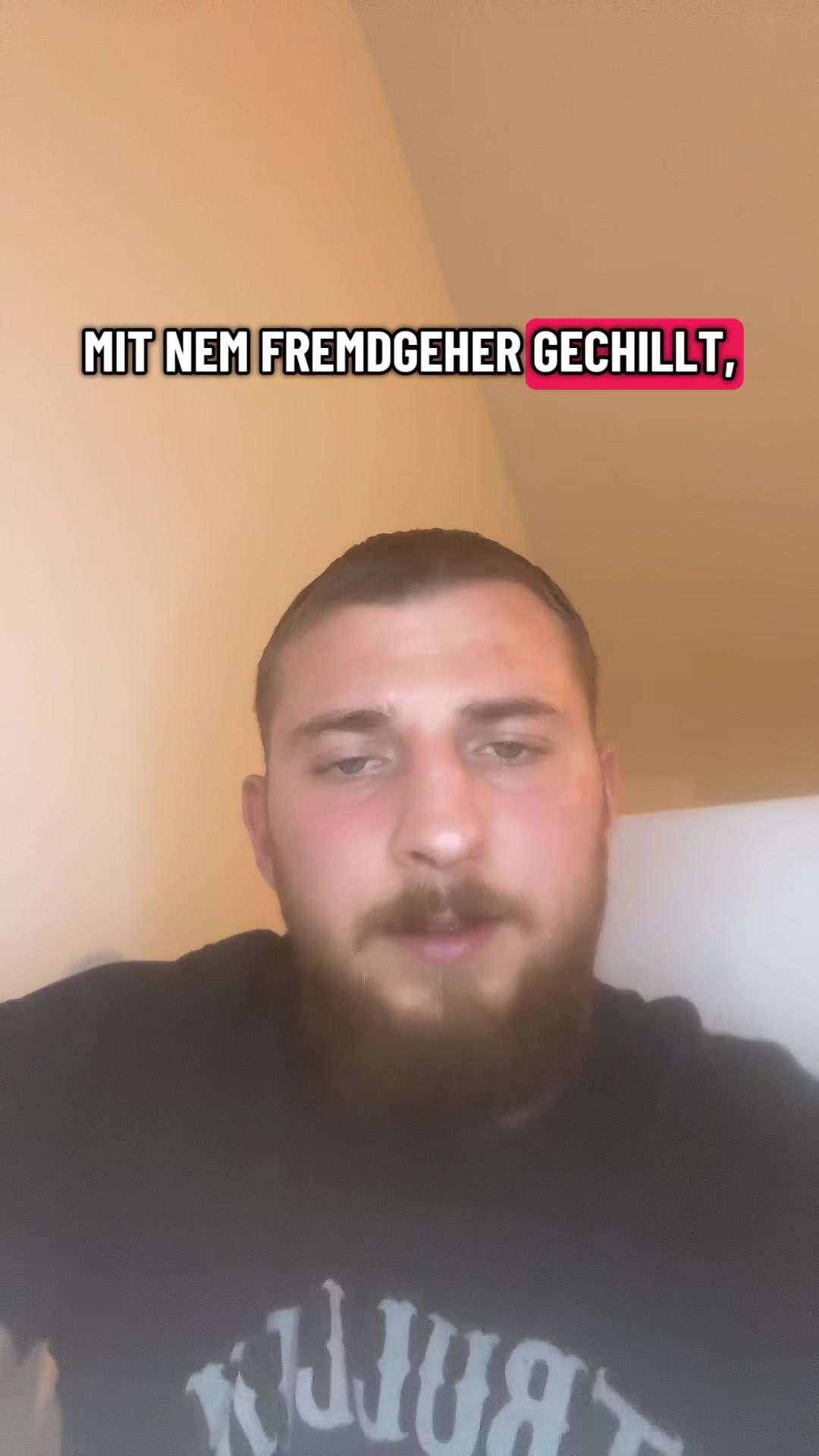 @steltoo