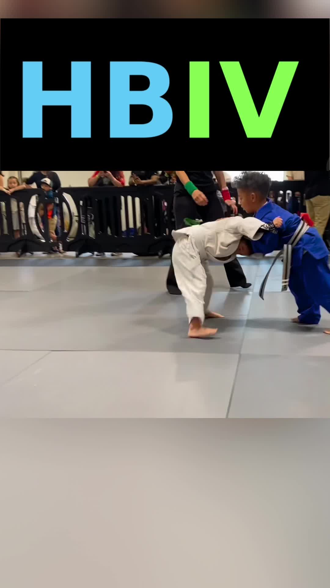 @HBIVthesamurai