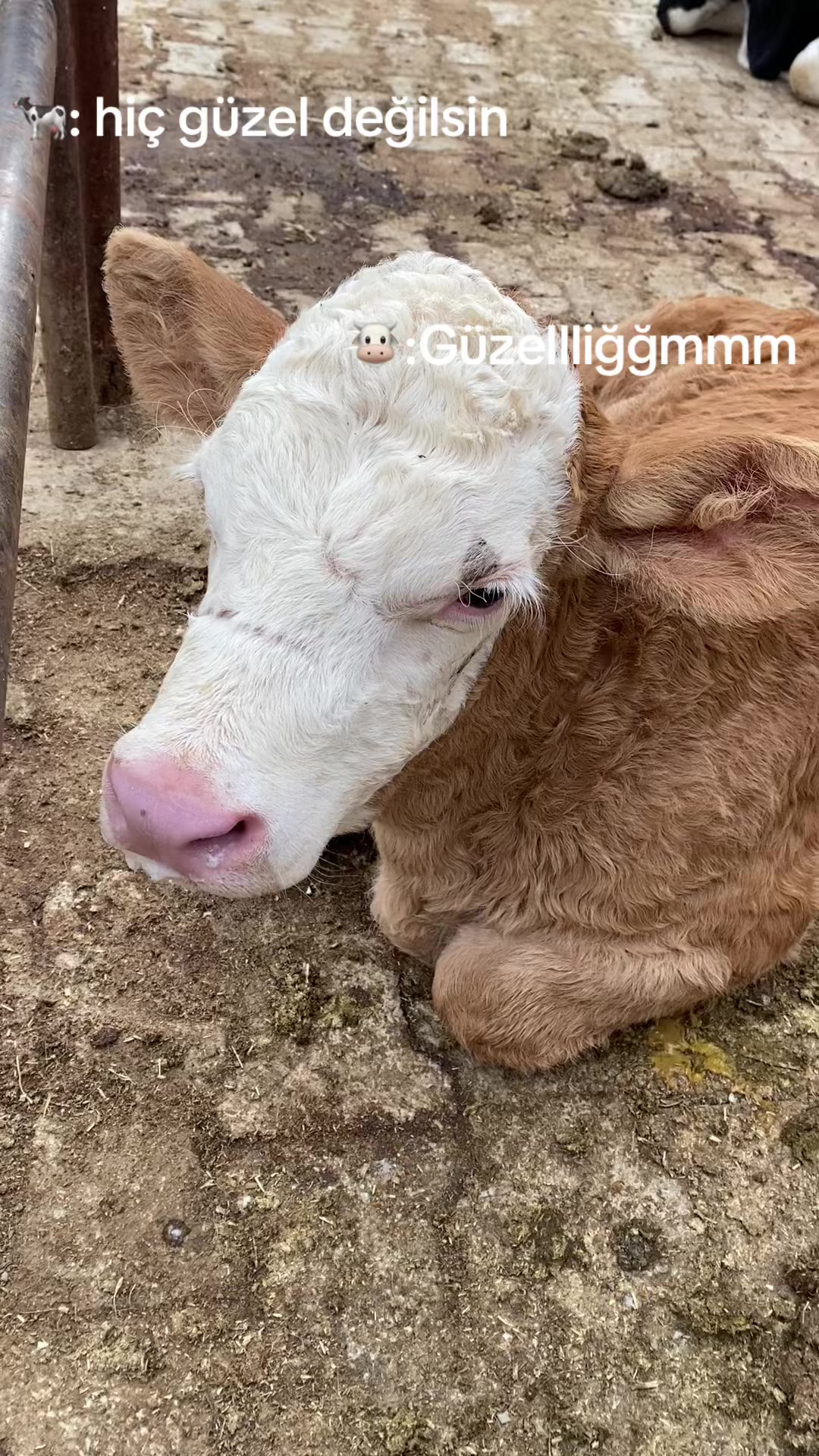 @Ebrar ( Akman ) Kapısız