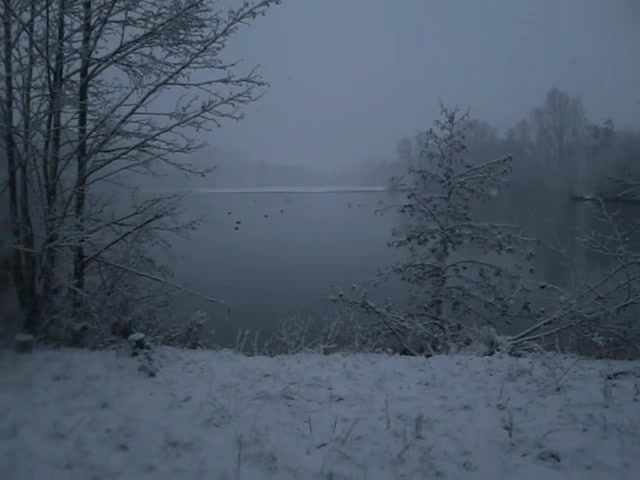 @maistør.