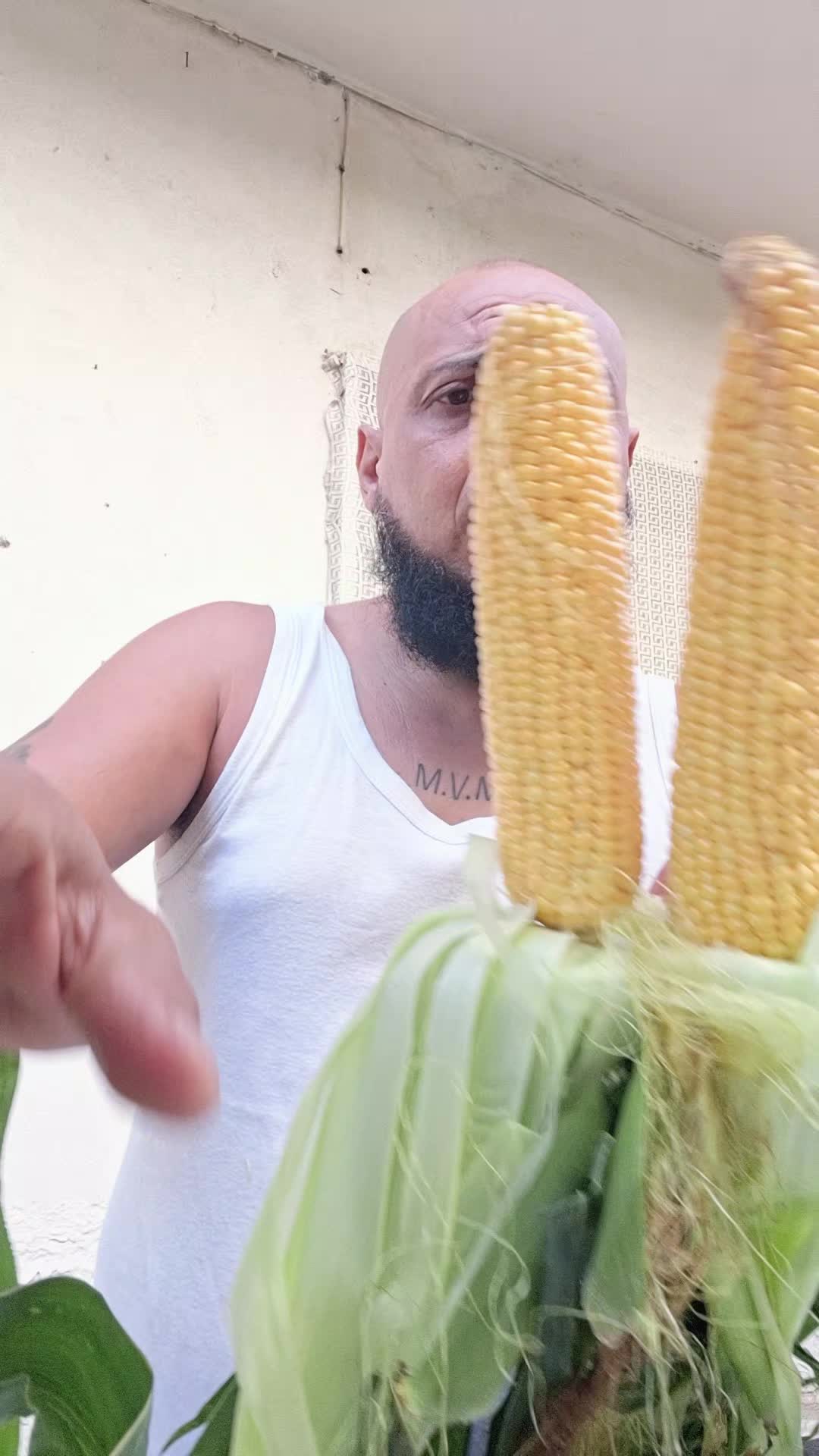 @il matto🌽