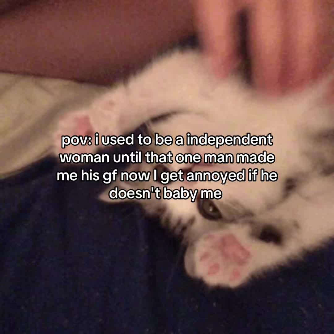@Alice.cattok