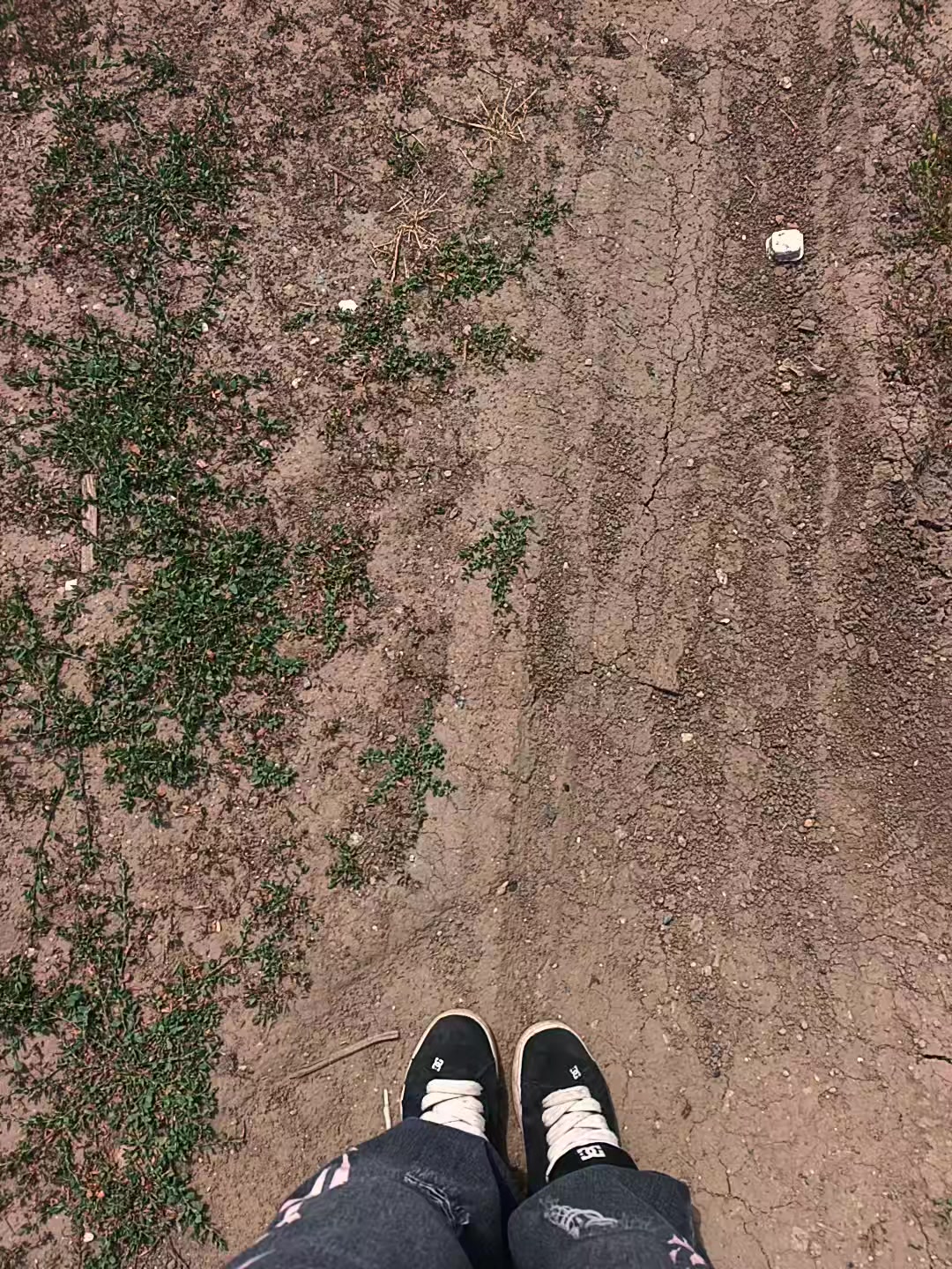 @17.04.2026