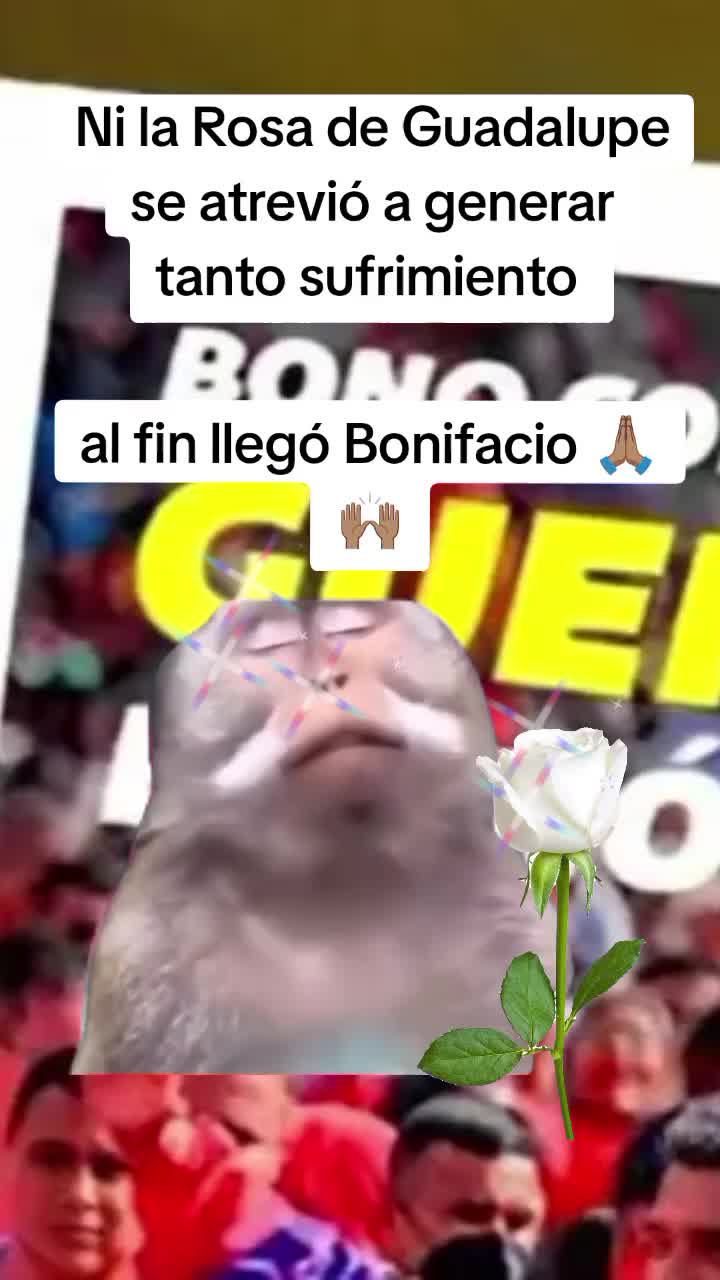 @Karol 💅🏼