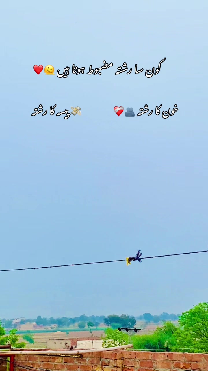 @🥀🌾 پنجابی کلچر 🥀🌾