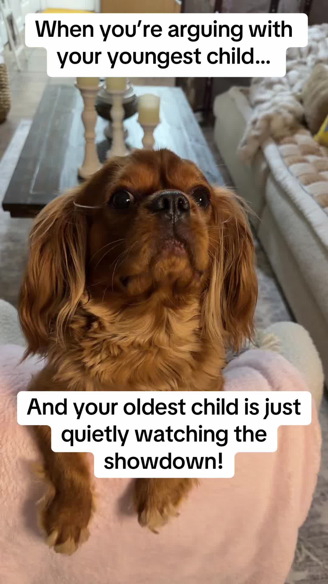 @tacos4uno
