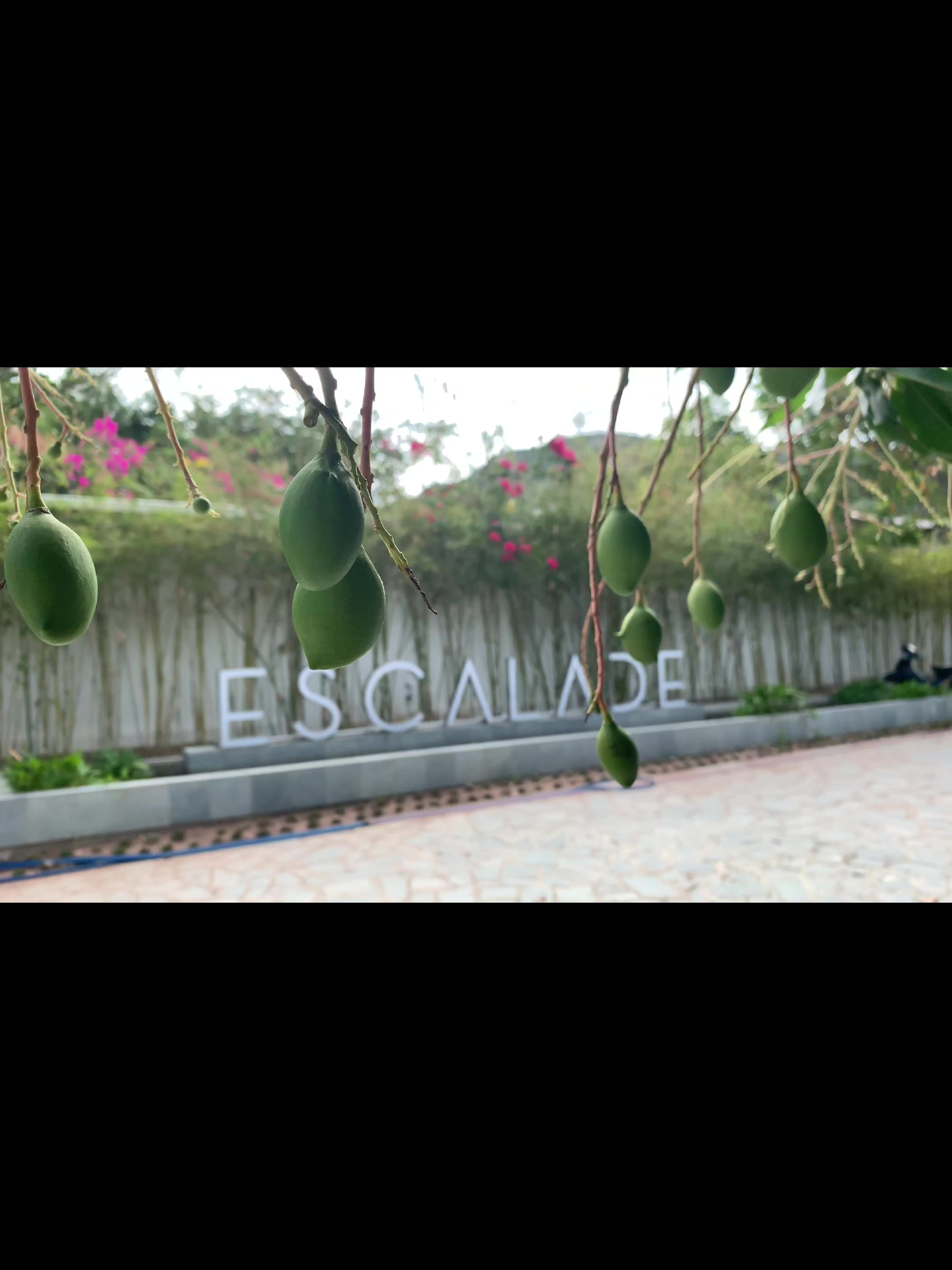 @EscaladeExperience