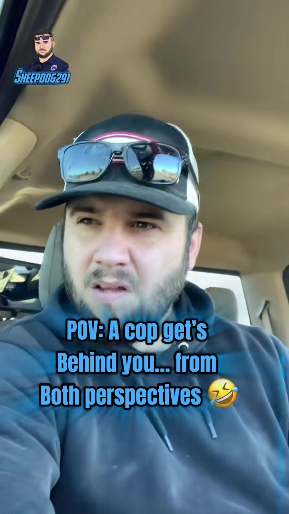 @Sheepdog 291