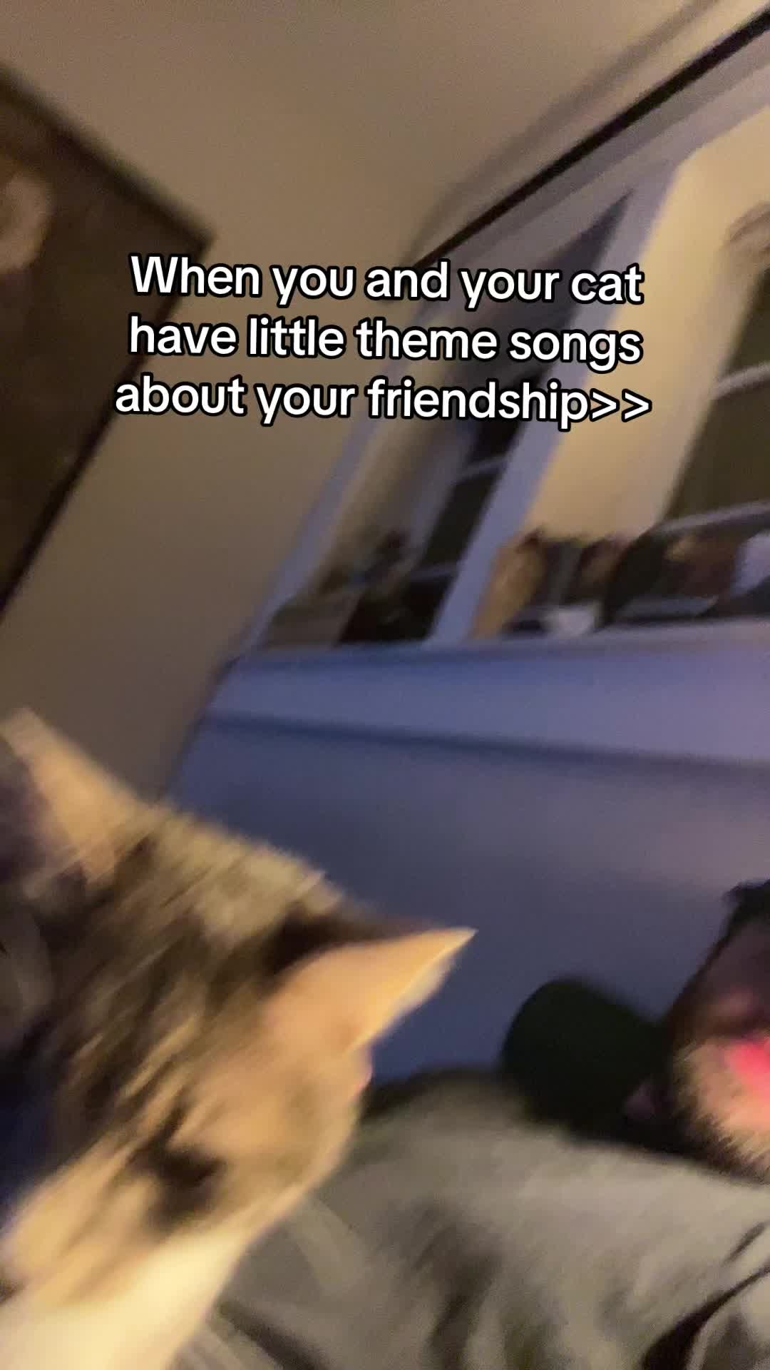 @Willow the Cat