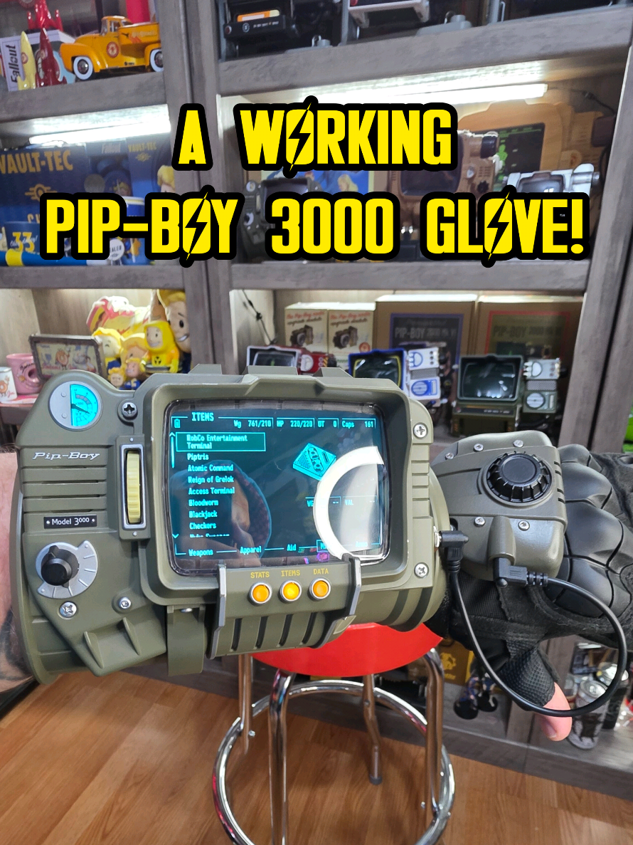 @☢️The Fallout Collector☢️