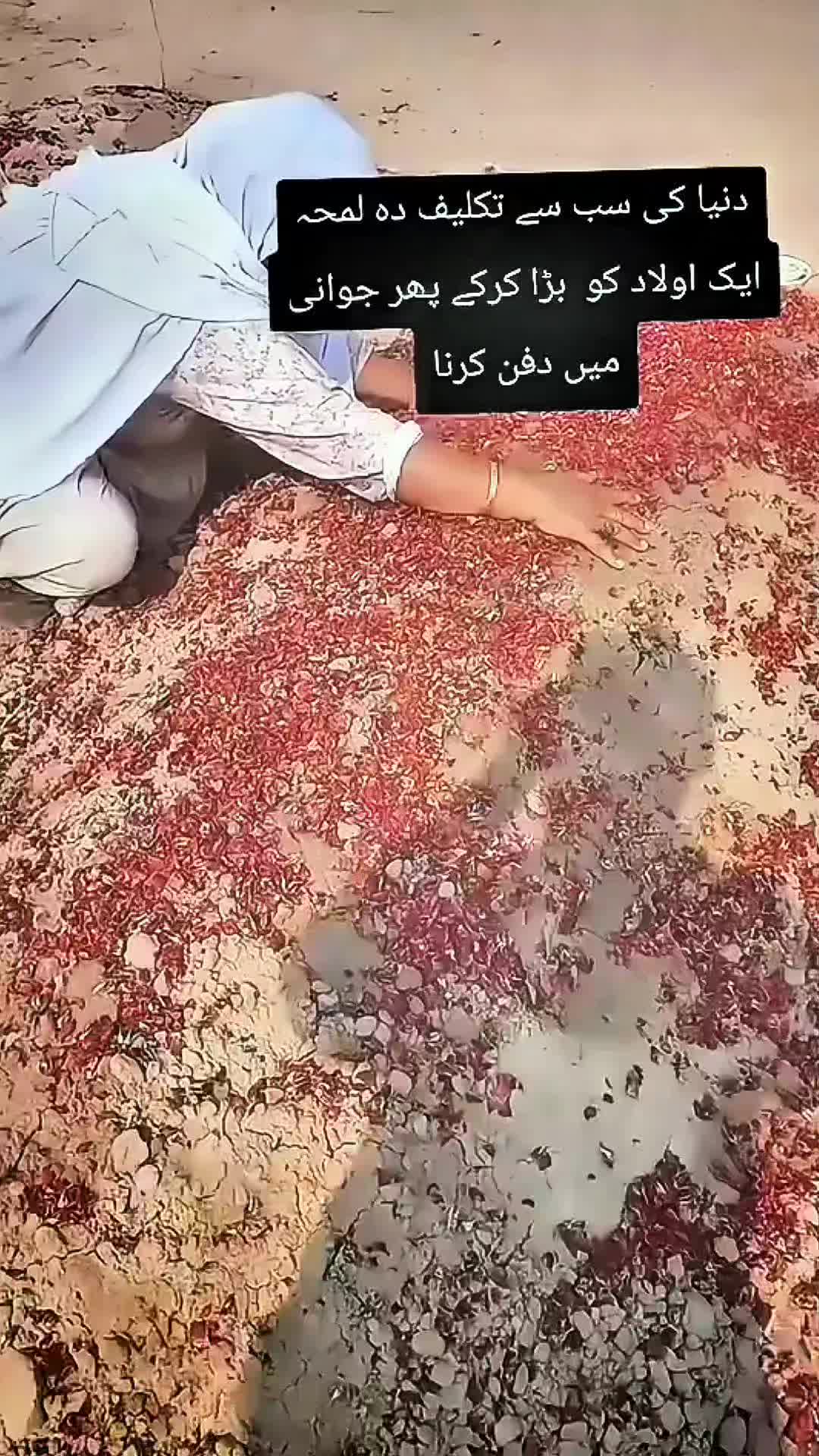 @Ujala Ahmad