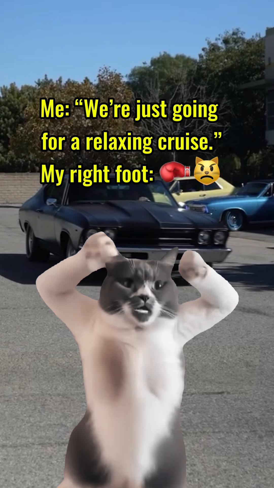 @MAVSIX9
