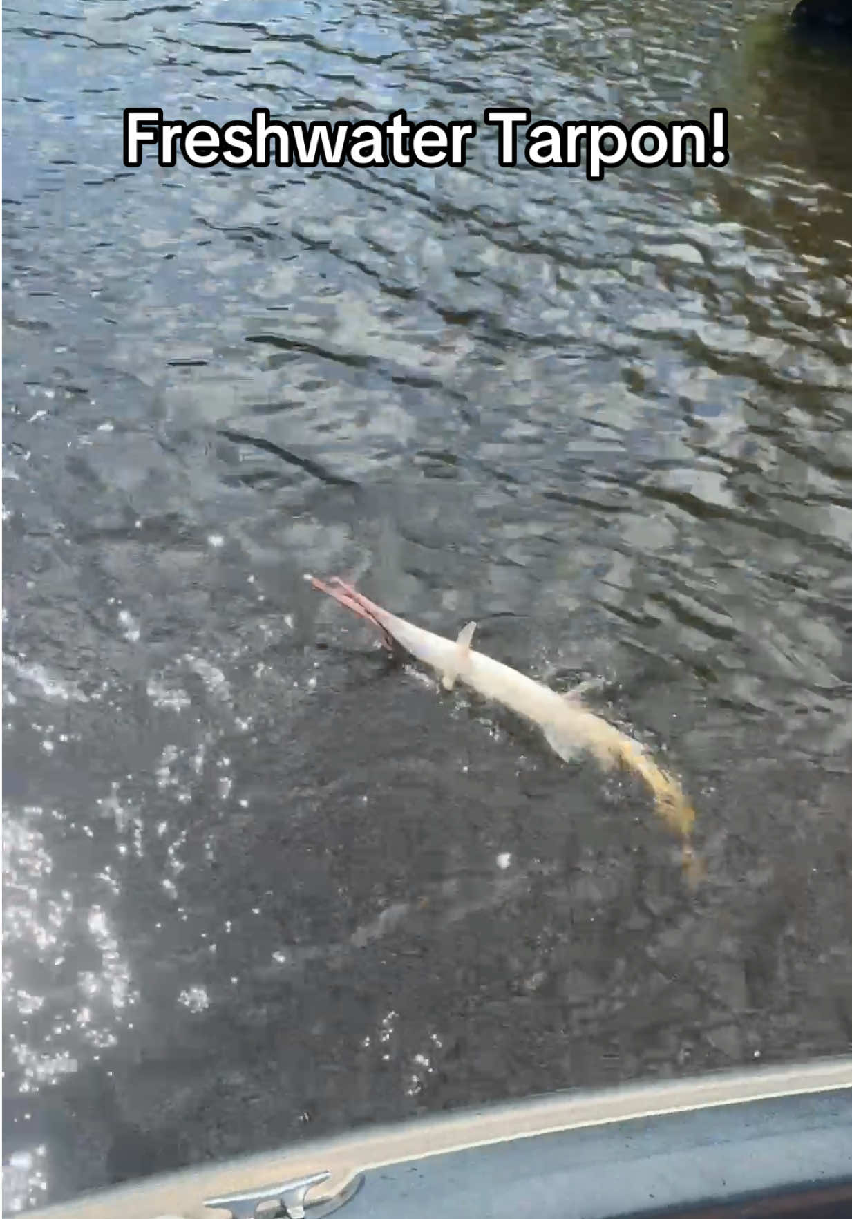 @evan_whitefishing