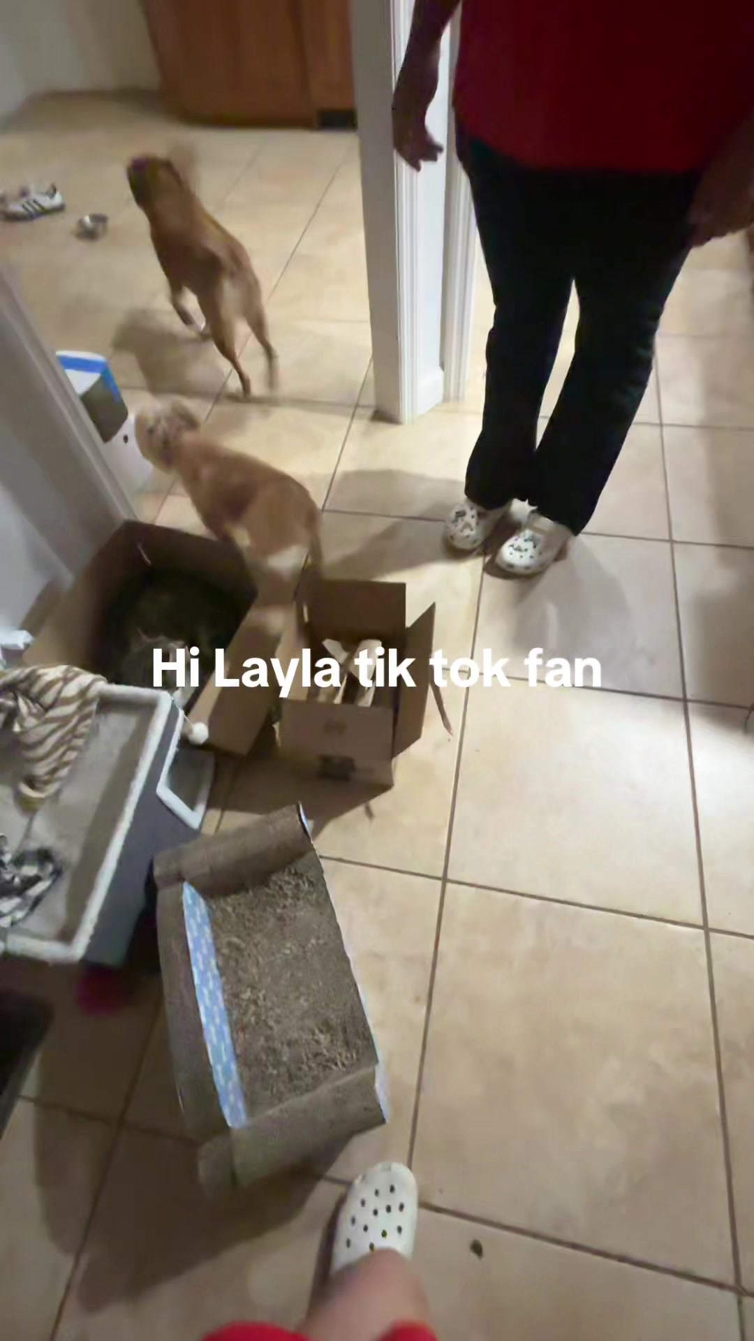 @layla ♋️