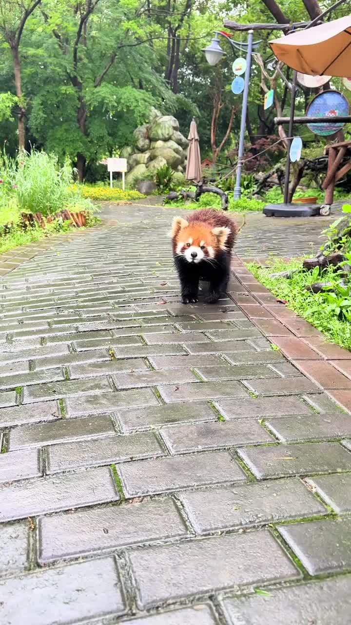 @littlepanda6487