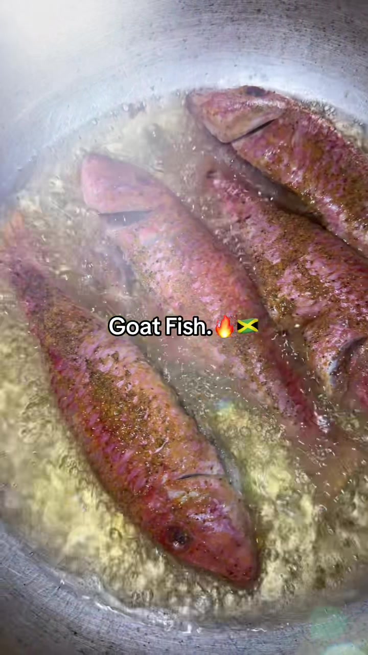 @Jamaican Girl Kitchen