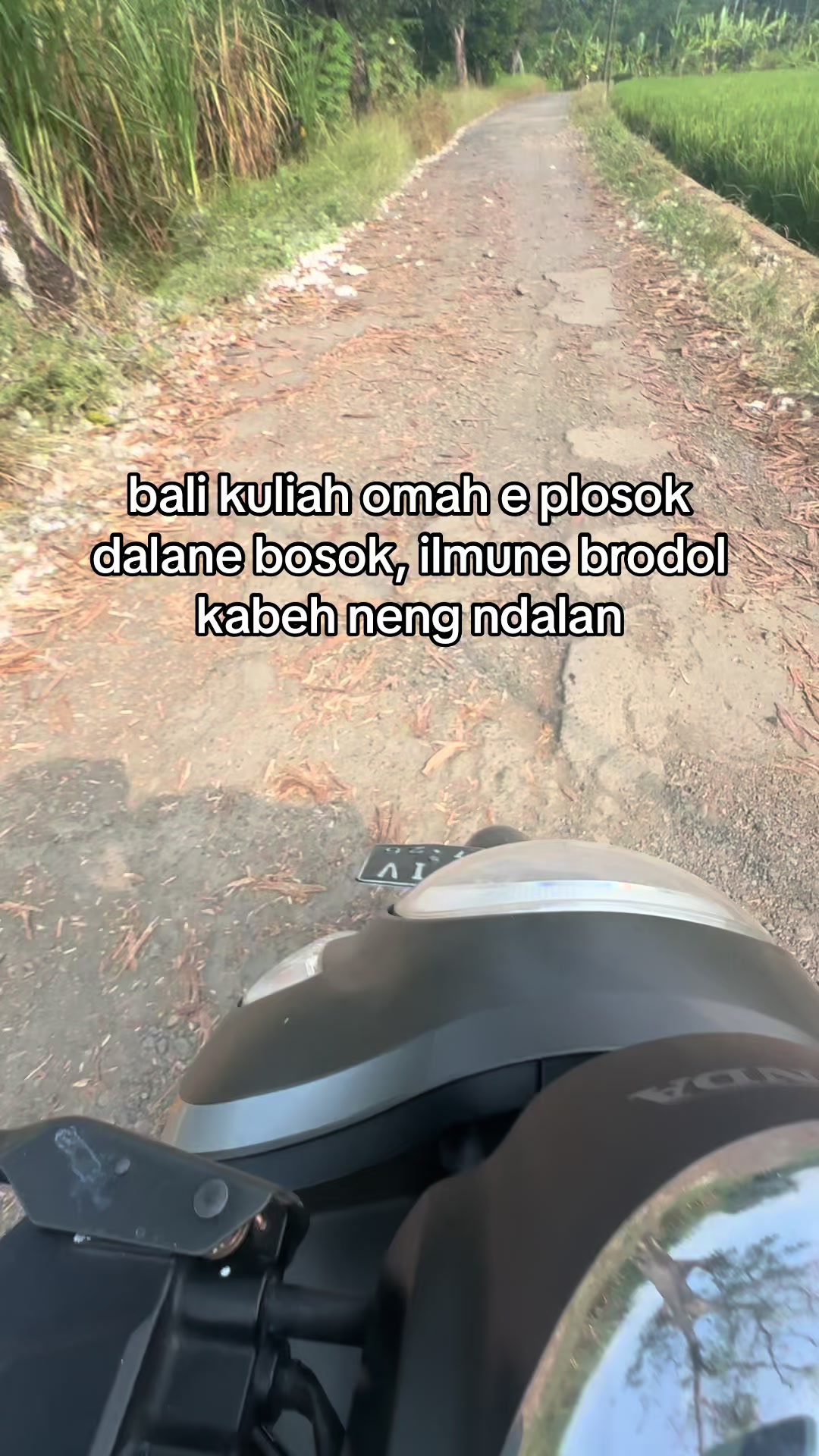@bernada