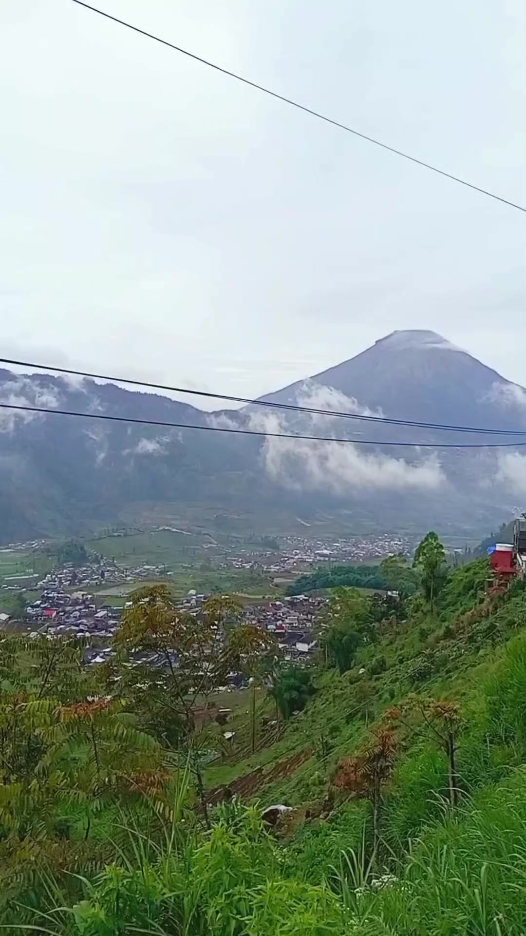 @jaka swara