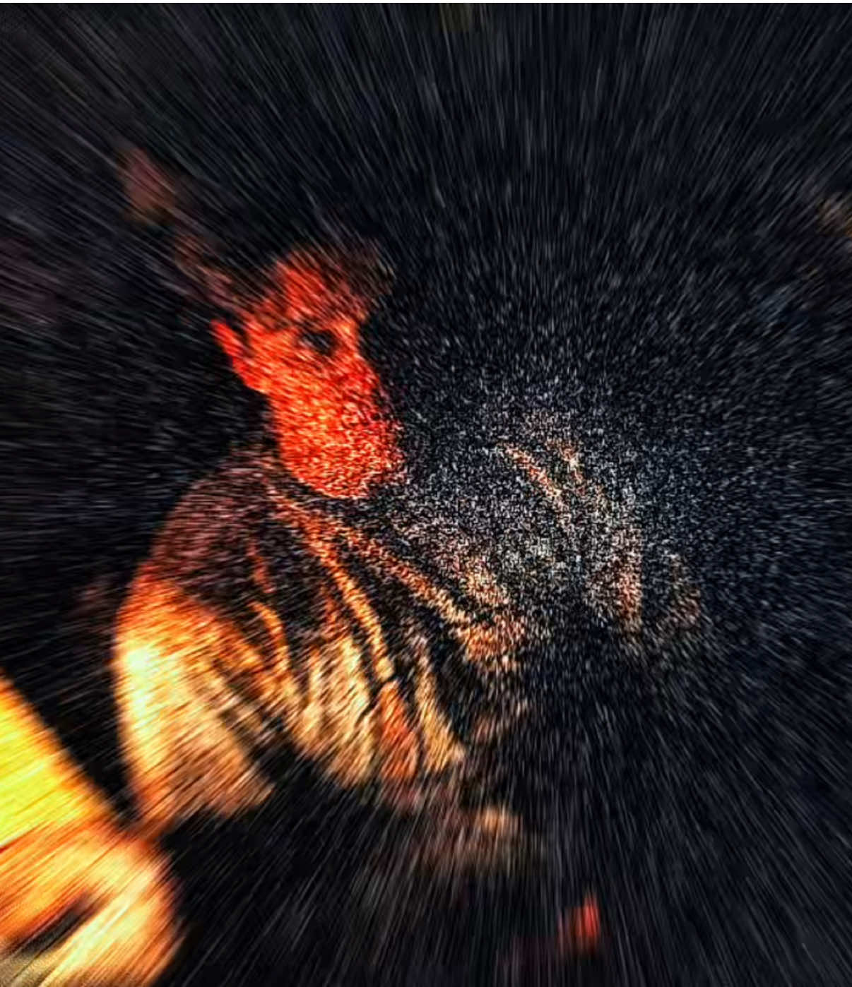 @𝚁𝚟𝚣𝚎𝚍𝚒𝚝𝚣