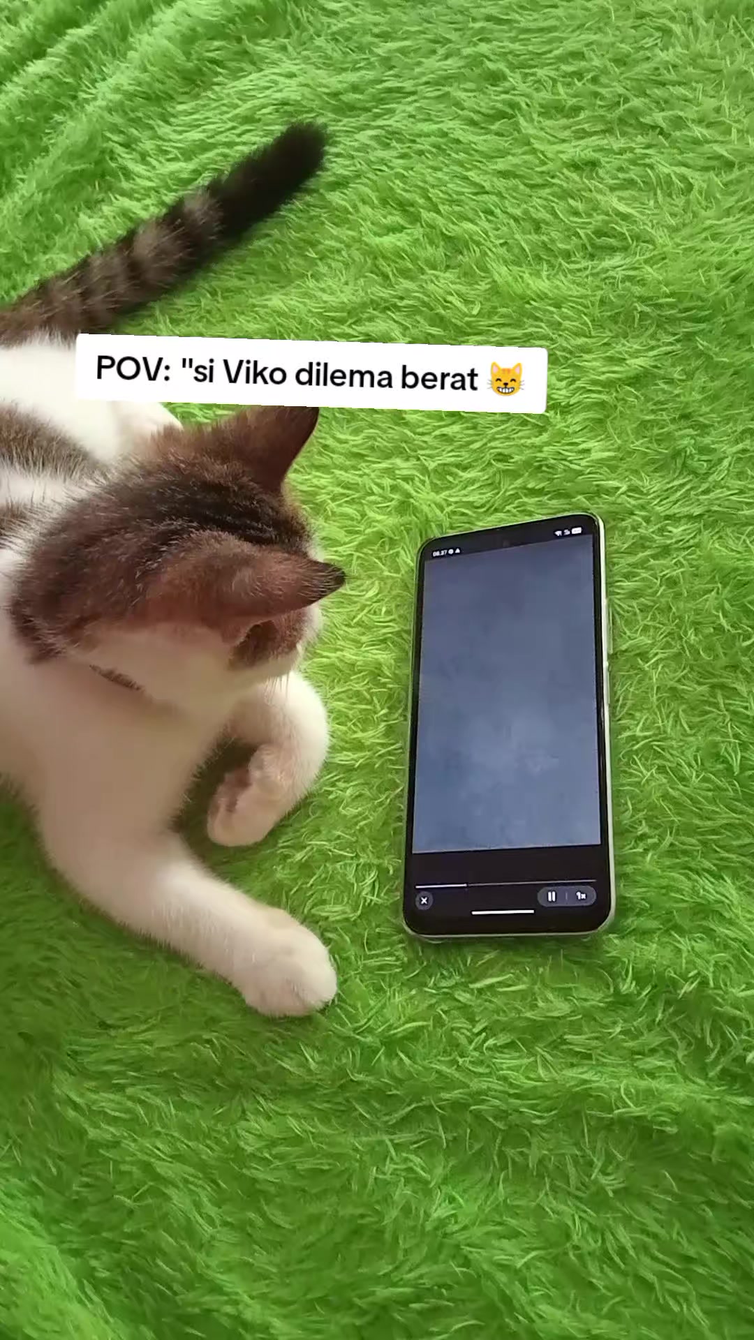 @Rizqi