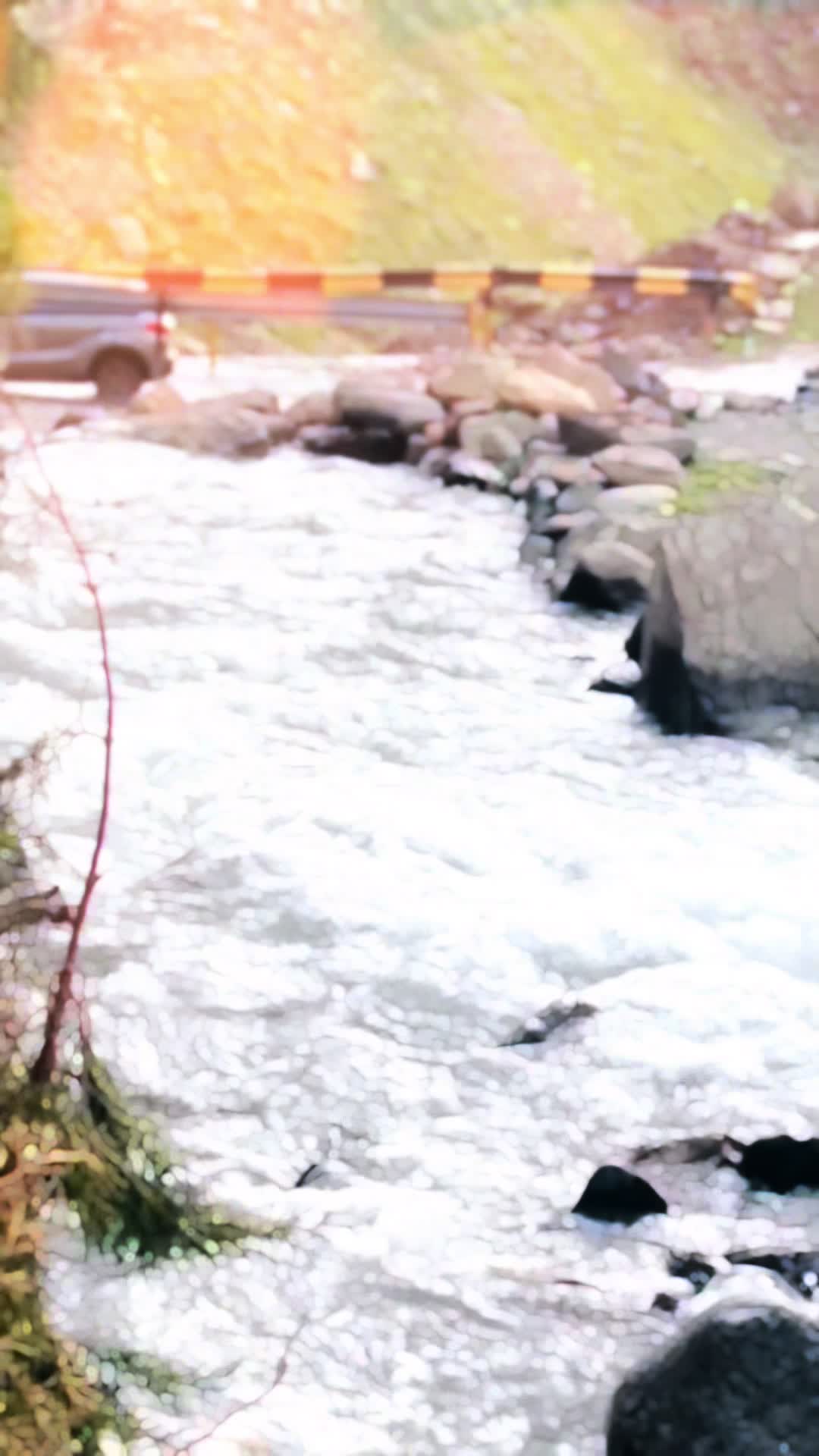 @حمزہ بن صفدر🖤